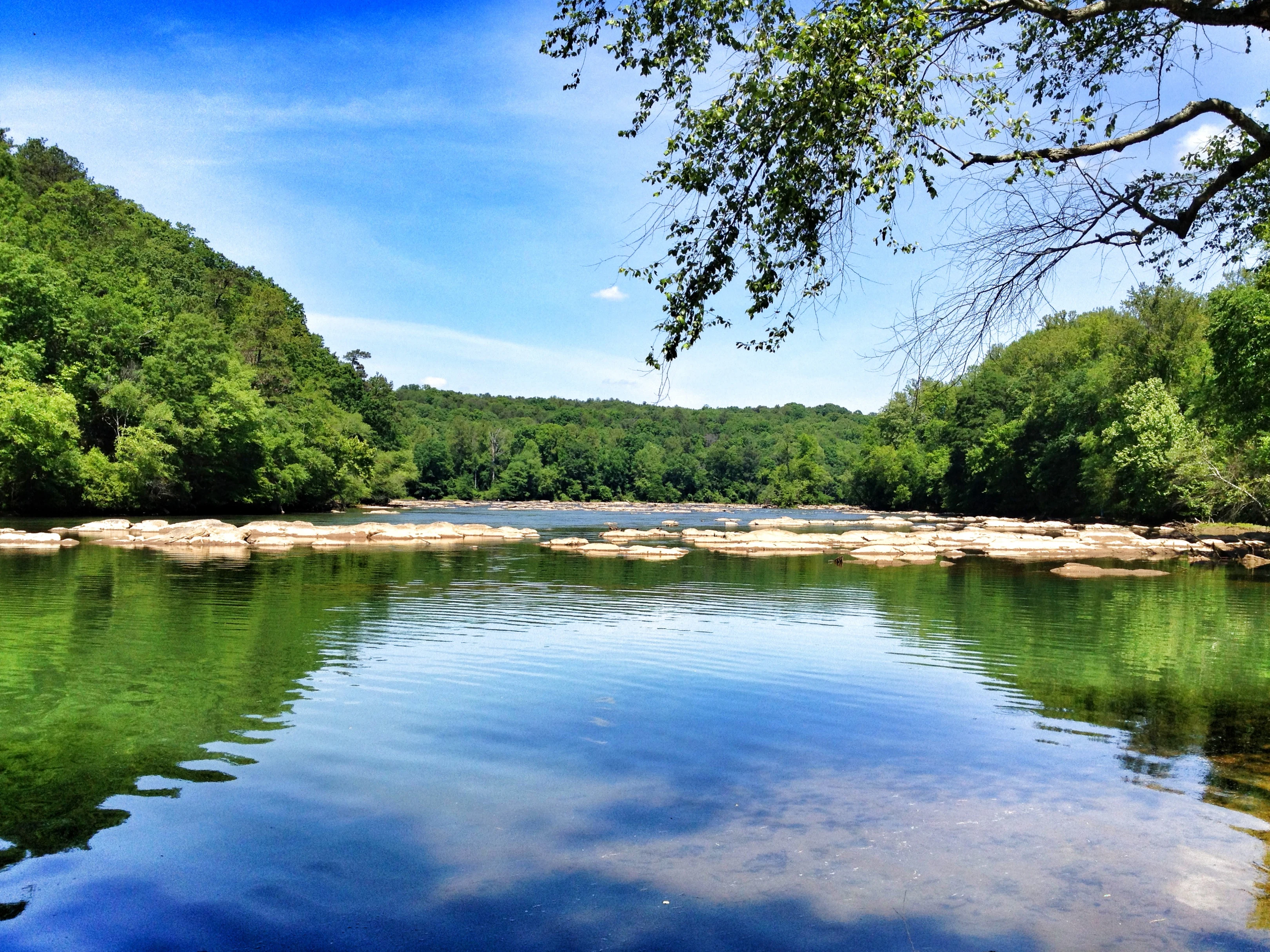 A wide view of the Chattahoochee River with rocky outcrops in the water, surrounded by dense green forest under a blue sky.