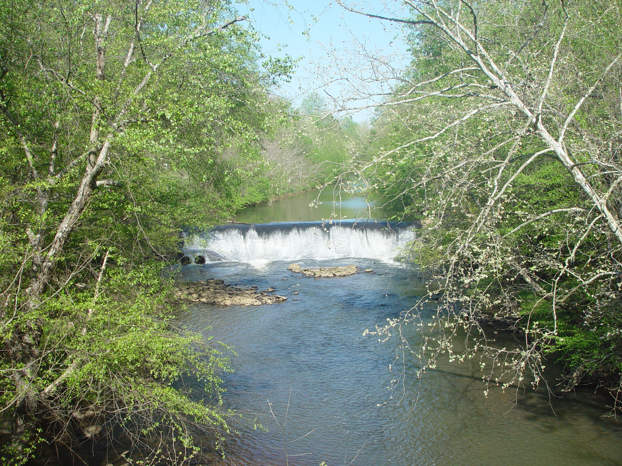 A small dam creating a waterfall across a river, surrounded by dense green trees and foliage in a forest setting.