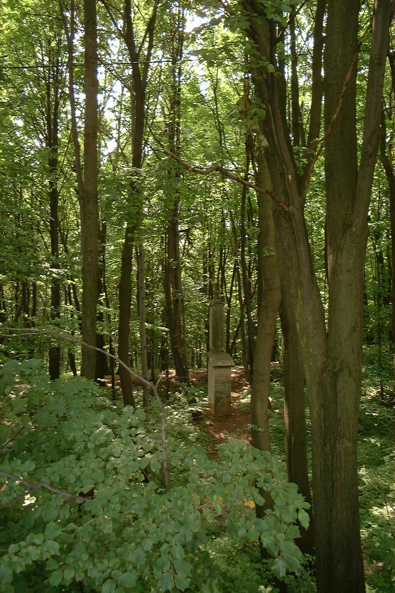A narrow dirt path winds through a dense, green deciduous forest, passing a small stone monument or marker standing among the tree trunks.