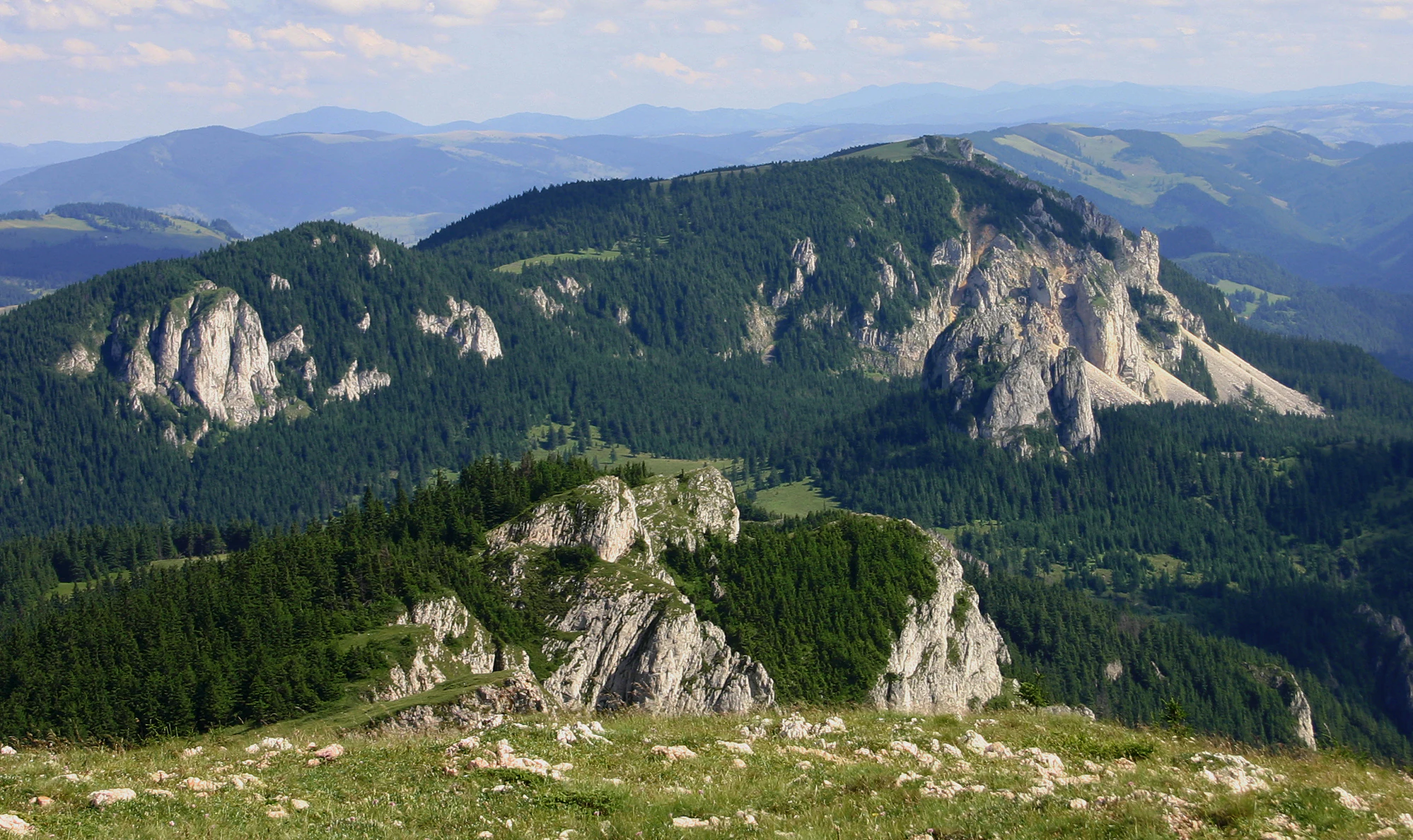 Mountain landscape with rocky peaks, forested slopes, and grassy foreground under clear sky