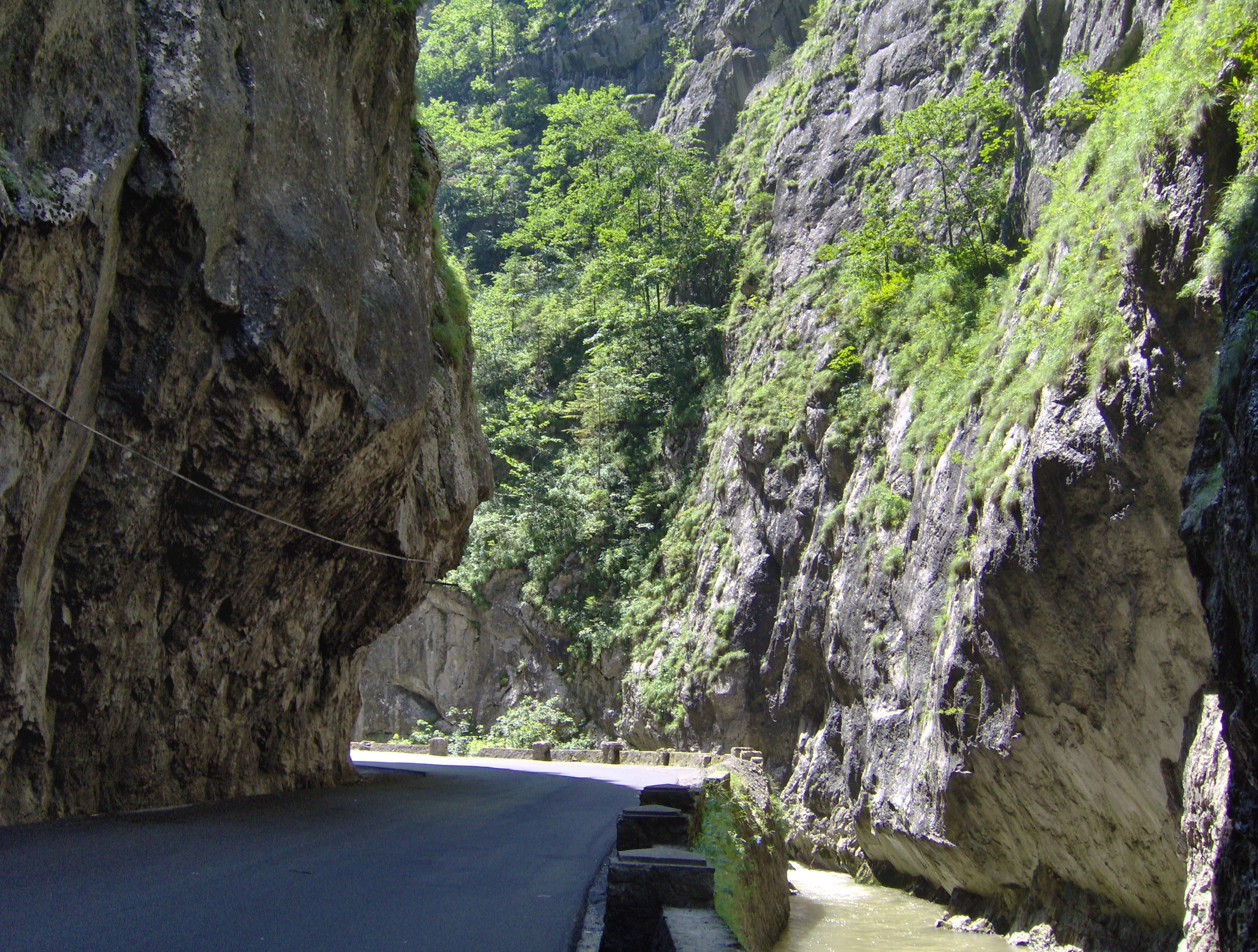 Asphalt road running through a narrow canyon between tall rocky cliffs with lush green vegetation and a river on the right side