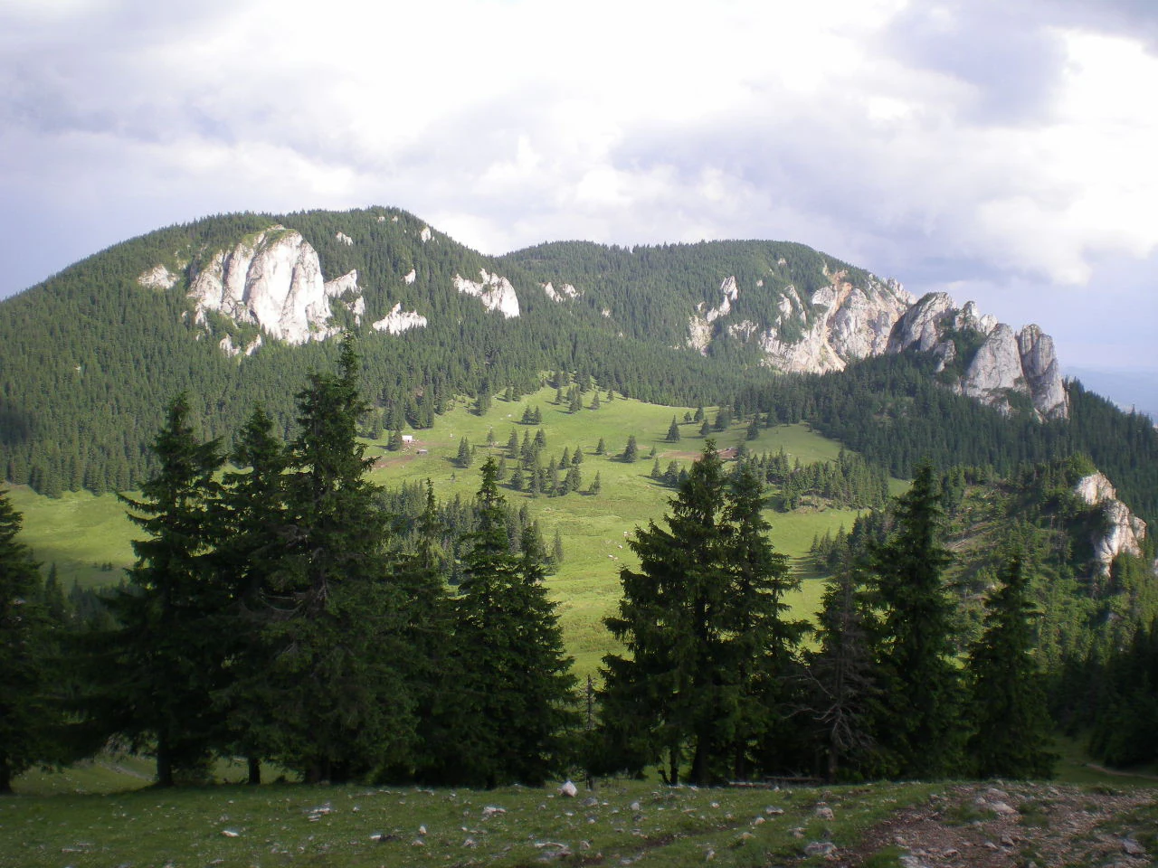 Mountainous landscape with green hills, dense evergreen forests, and rocky peaks under a partly cloudy sky