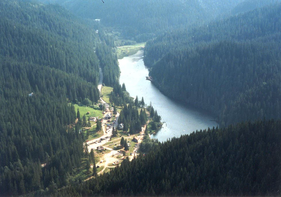 Aerial view of a lake surrounded by dense forests with a small settlement along the shore