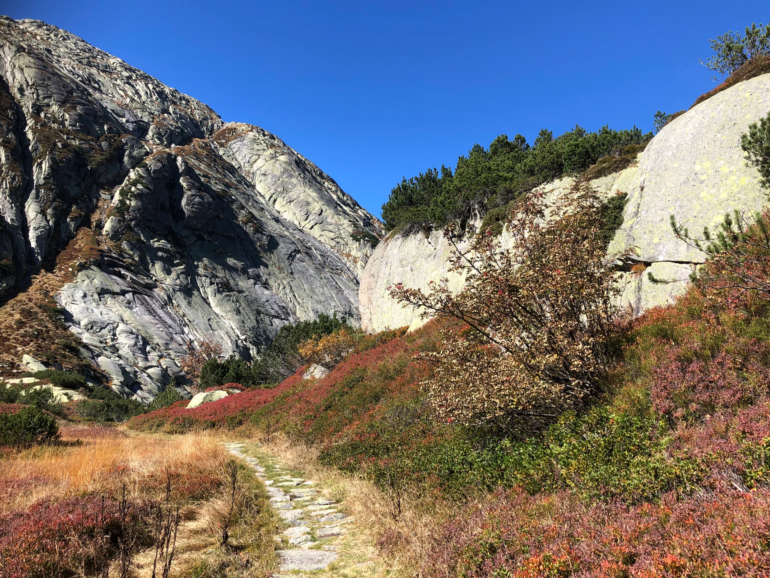 A narrow stone hiking path leads through low, autumn-colored shrubs towards a rocky mountain pass under a clear blue sky.