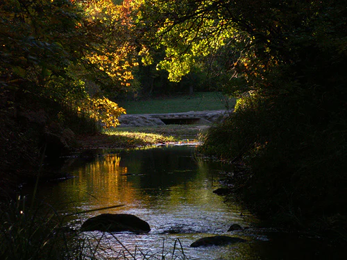 Travertine Creek in autumn evening