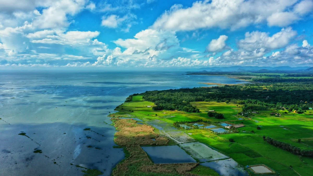 Aerial view of Chilika Lake