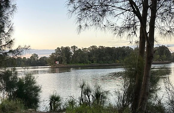 A peaceful lake scene at sunset with a wooded island in the background, framed by foreground trees.