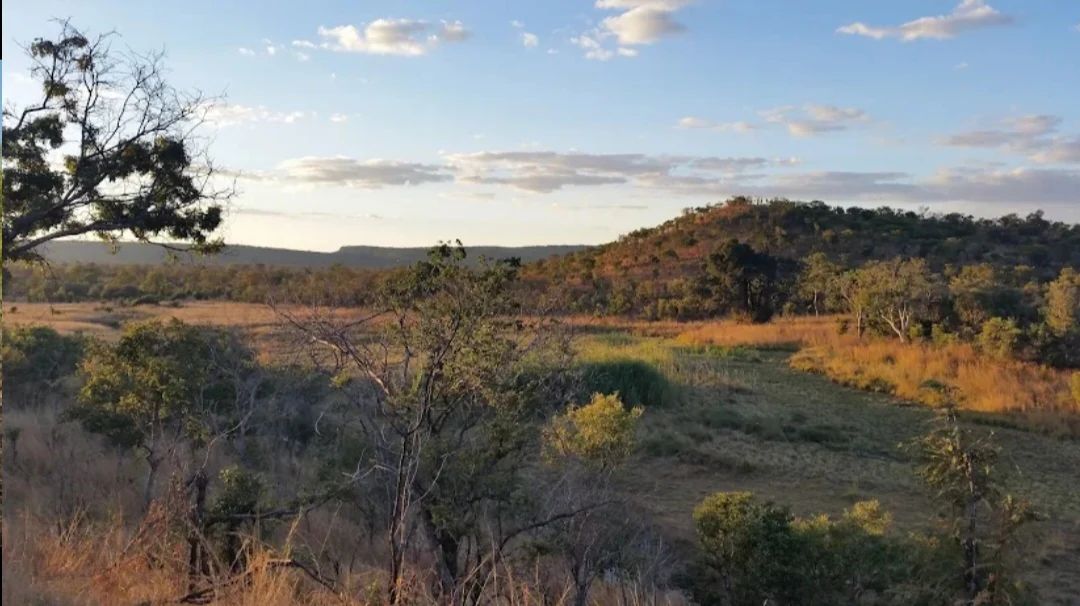 Wide view of Chizarira National Park featuring open grasslands, scattered trees, and distant hills under a blue sky with clouds