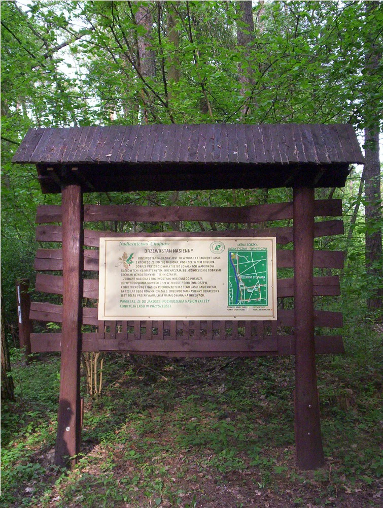 A wooden information kiosk with a roof stands in a forest, displaying educational text and a small map about the surrounding area.