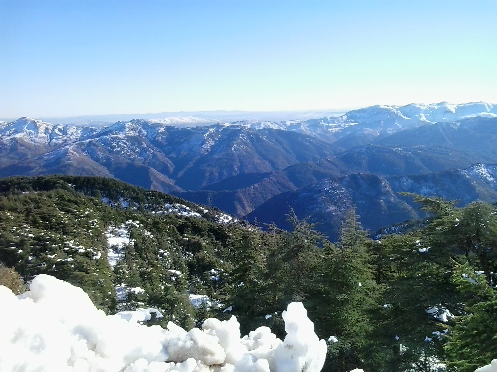 Picos de montañas cubiertas de nieve y bosques de pinos bajo un cielo azul claro