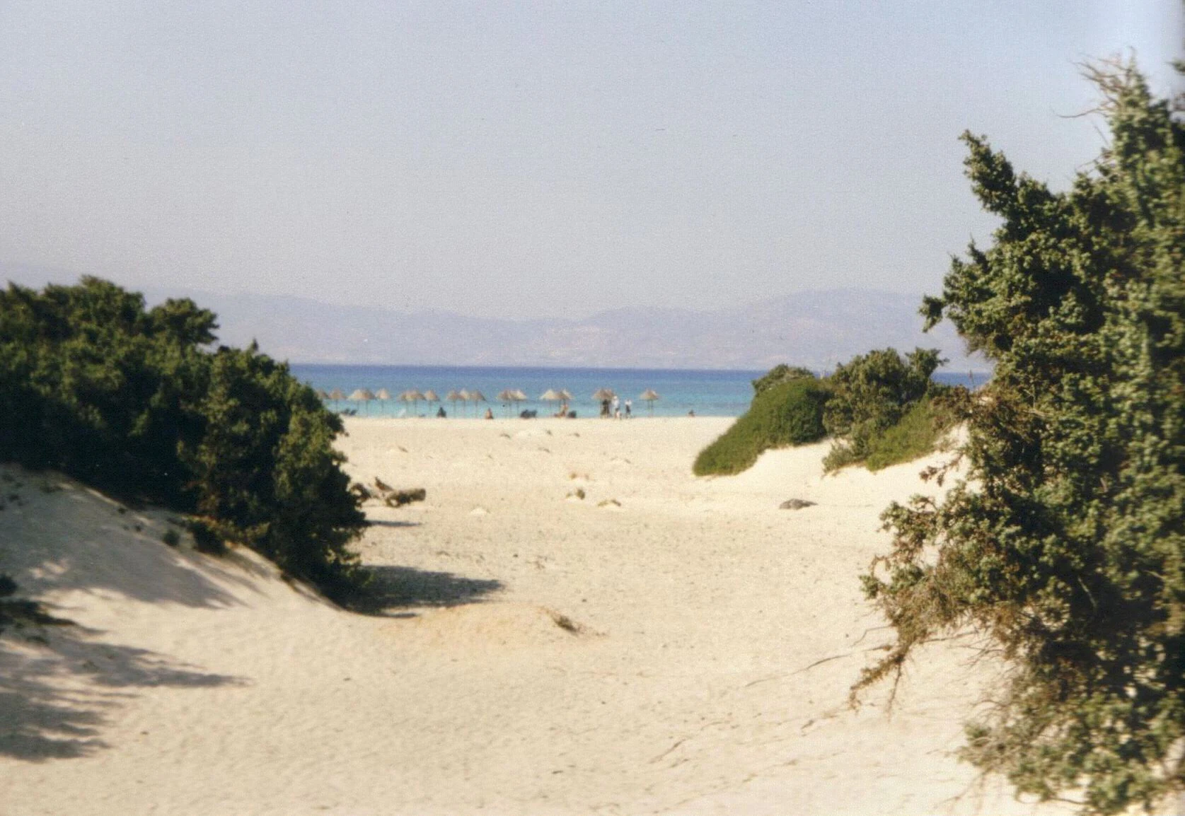 A wide sandy beach path on Chrysi island leading toward the sea, flanked by dense green juniper bushes on both sides with the hazy coastline of Crete in the background.