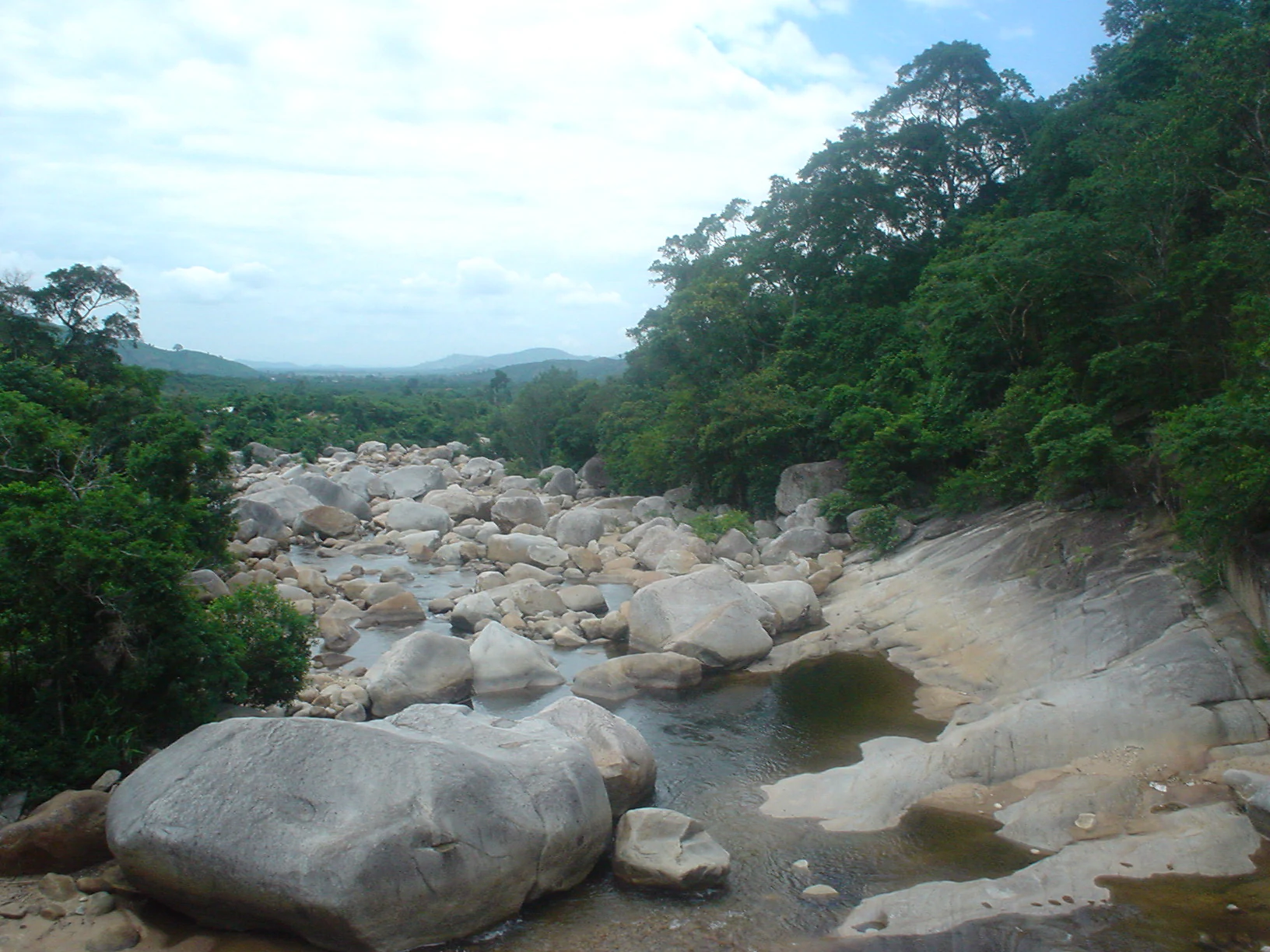 River flowing through rocky bed surrounded by dense forest with hills in background