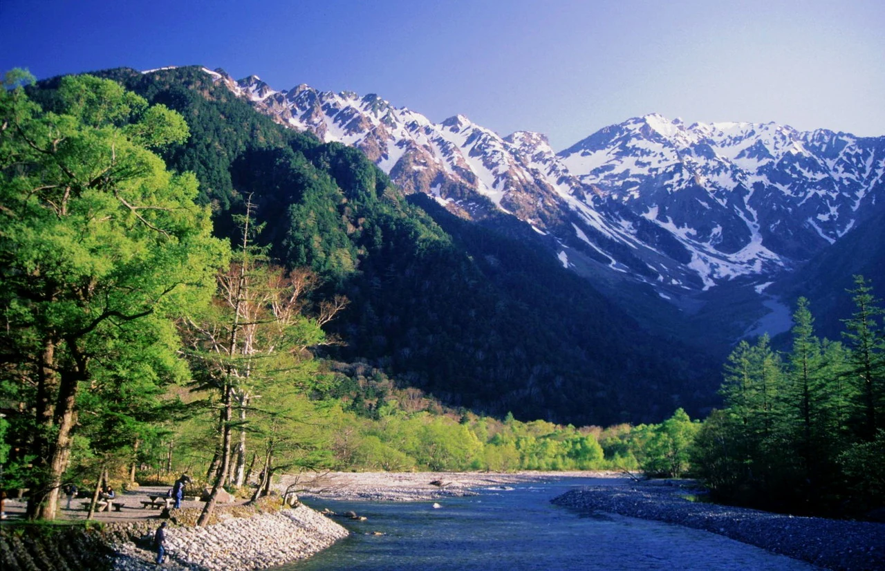 Río que fluye a través de un valle con montañas nevadas y árboles verdes bajo un cielo azul claro