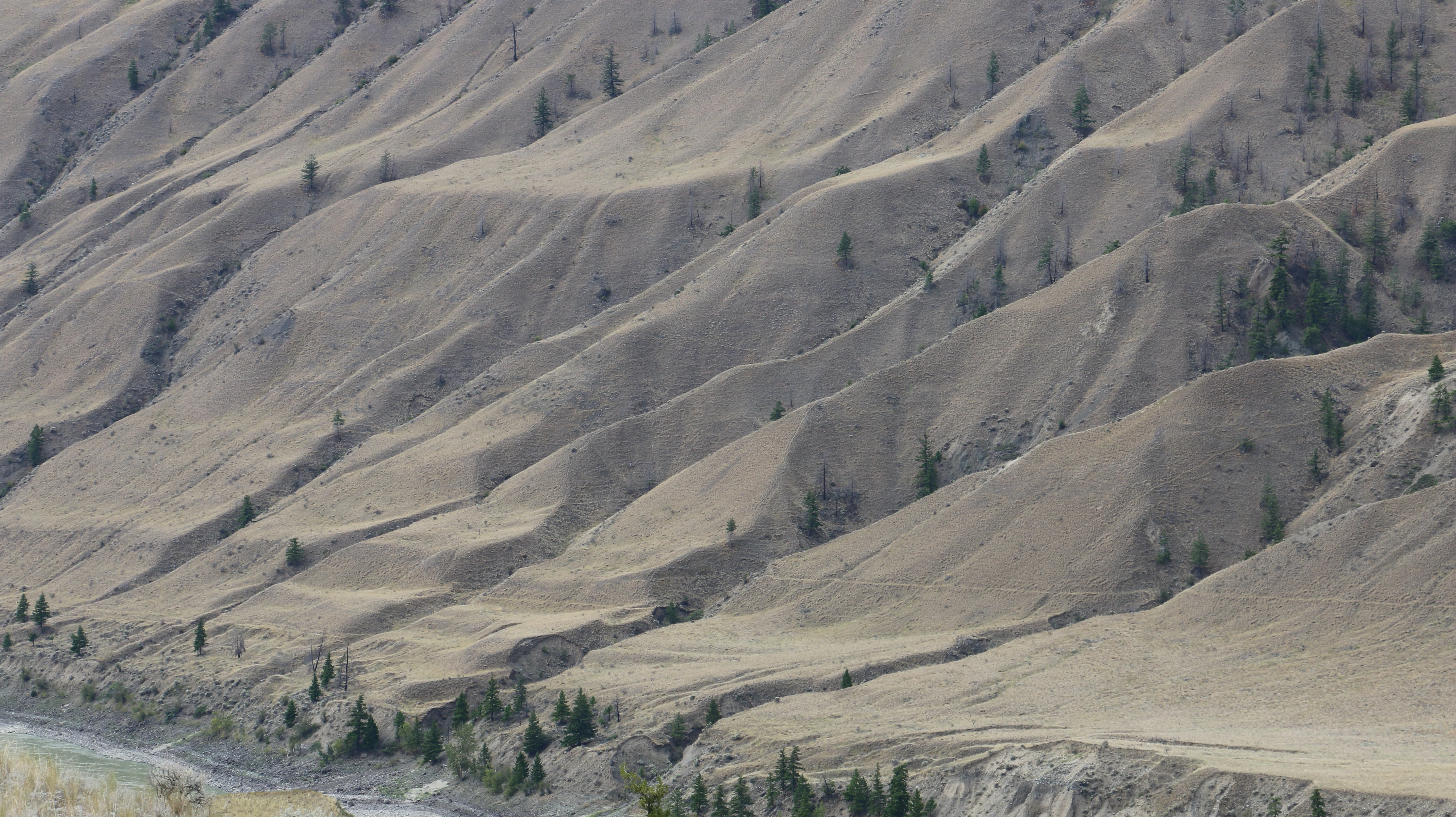 Wide view of dry, rolling hills with eroded slopes and scattered evergreen trees, with a river visible at the bottom left.