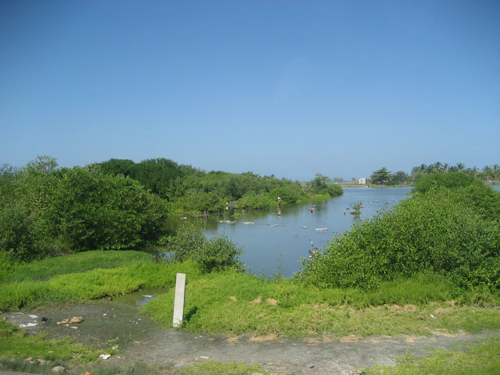 A landscape view of Ciénaga Grande de Santa Marta showing a large body of water surrounded by dense green vegetation under a clear blue sky