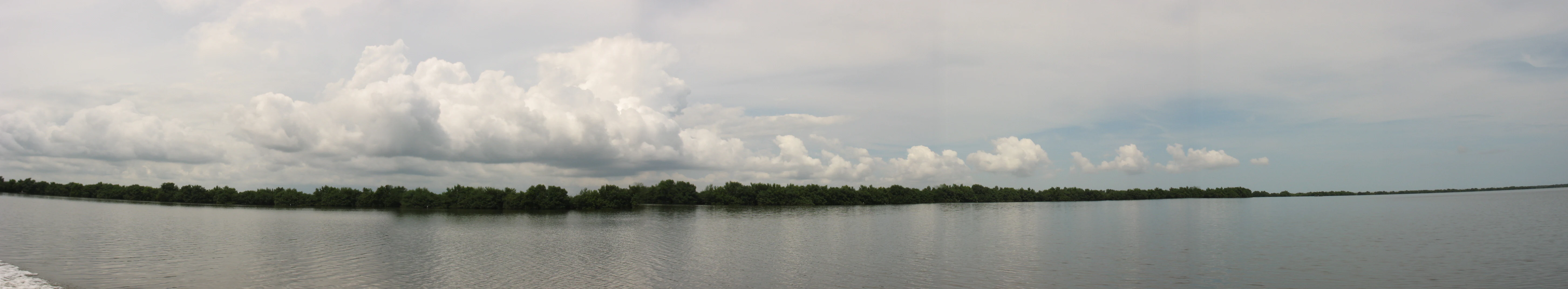 Panoramic view of Ciénaga Grande de Santa Marta wetland featuring wide water body with tree line on horizon under partly cloudy sky