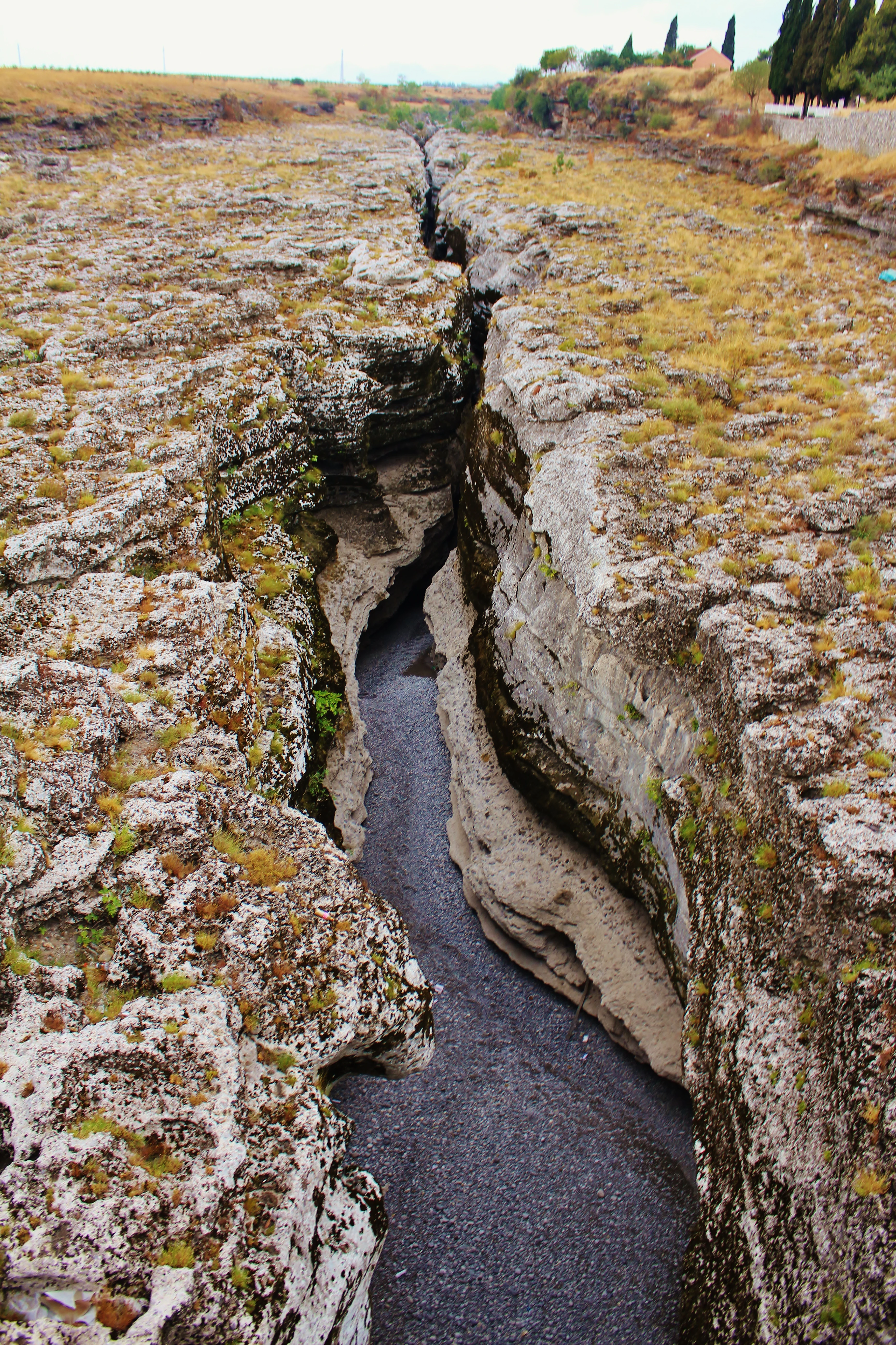 A deep, narrow limestone canyon cut by the Cijevna River, with rough, weathered rock walls and sparse vegetation on the dry terrain above.