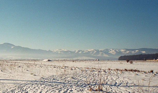 Snow-covered field with scattered bushes and distant mountain range under clear blue sky