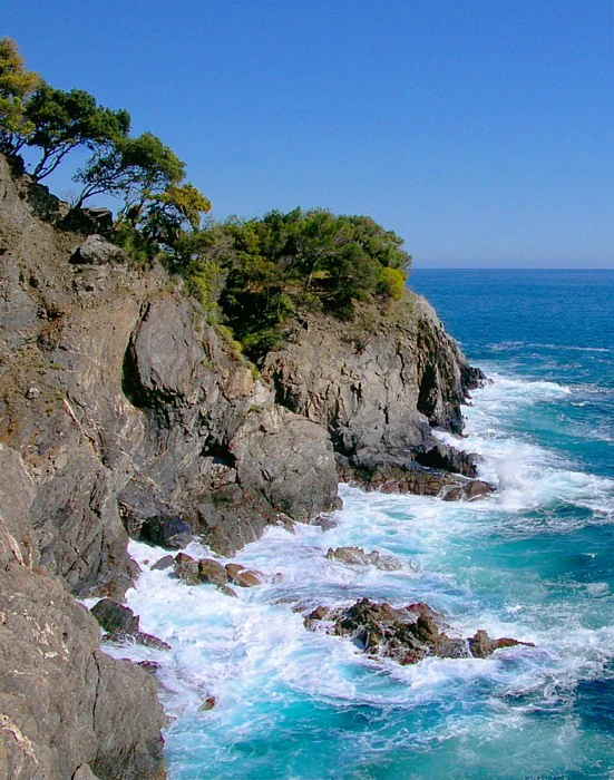 Rocky cliffside with ocean waves crashing against rocks, green trees on top of the cliffs, clear blue sky