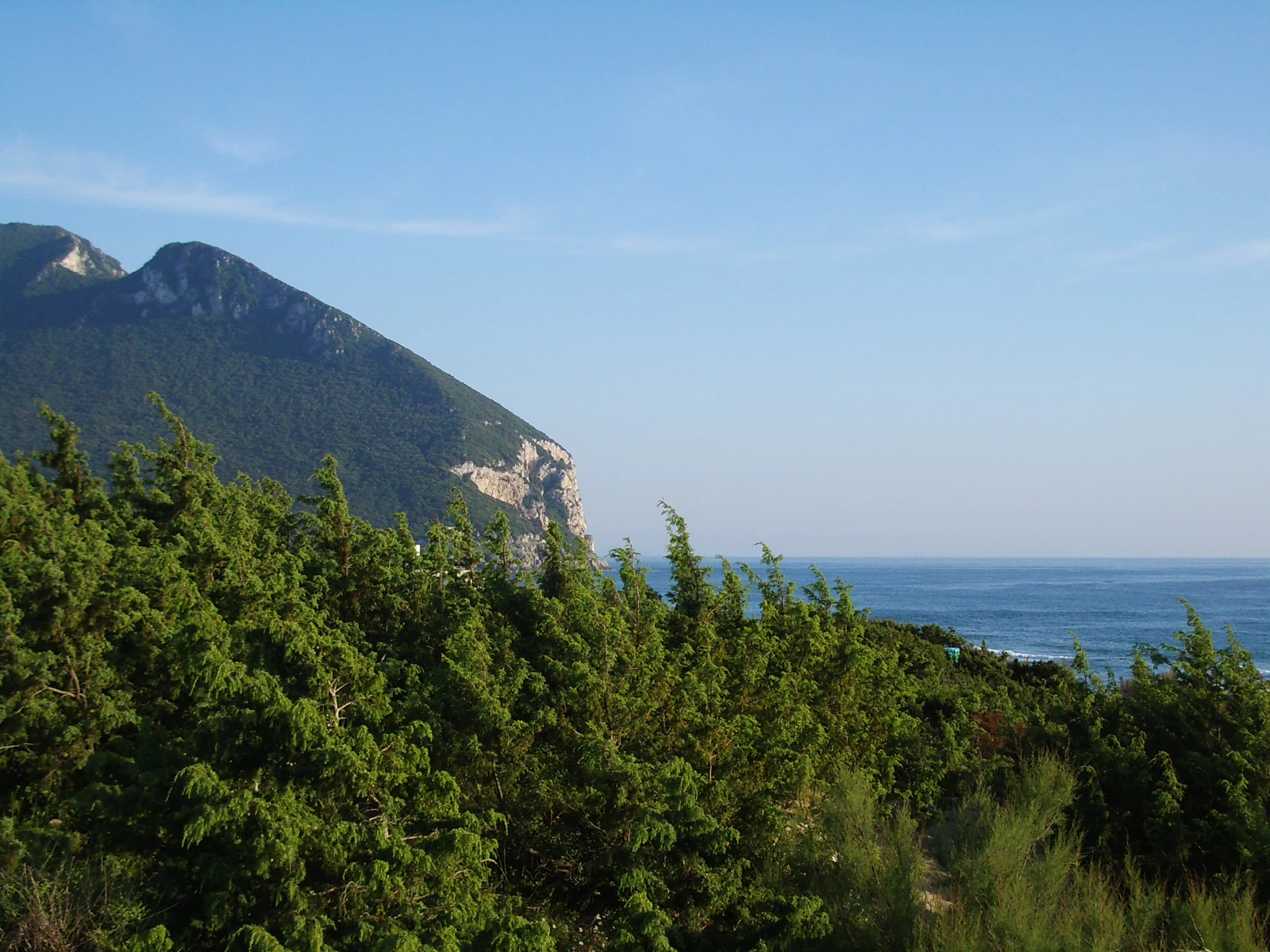 Coastal dune landscape with green vegetation in foreground, mountain cliffs in background, and blue sea under clear sky