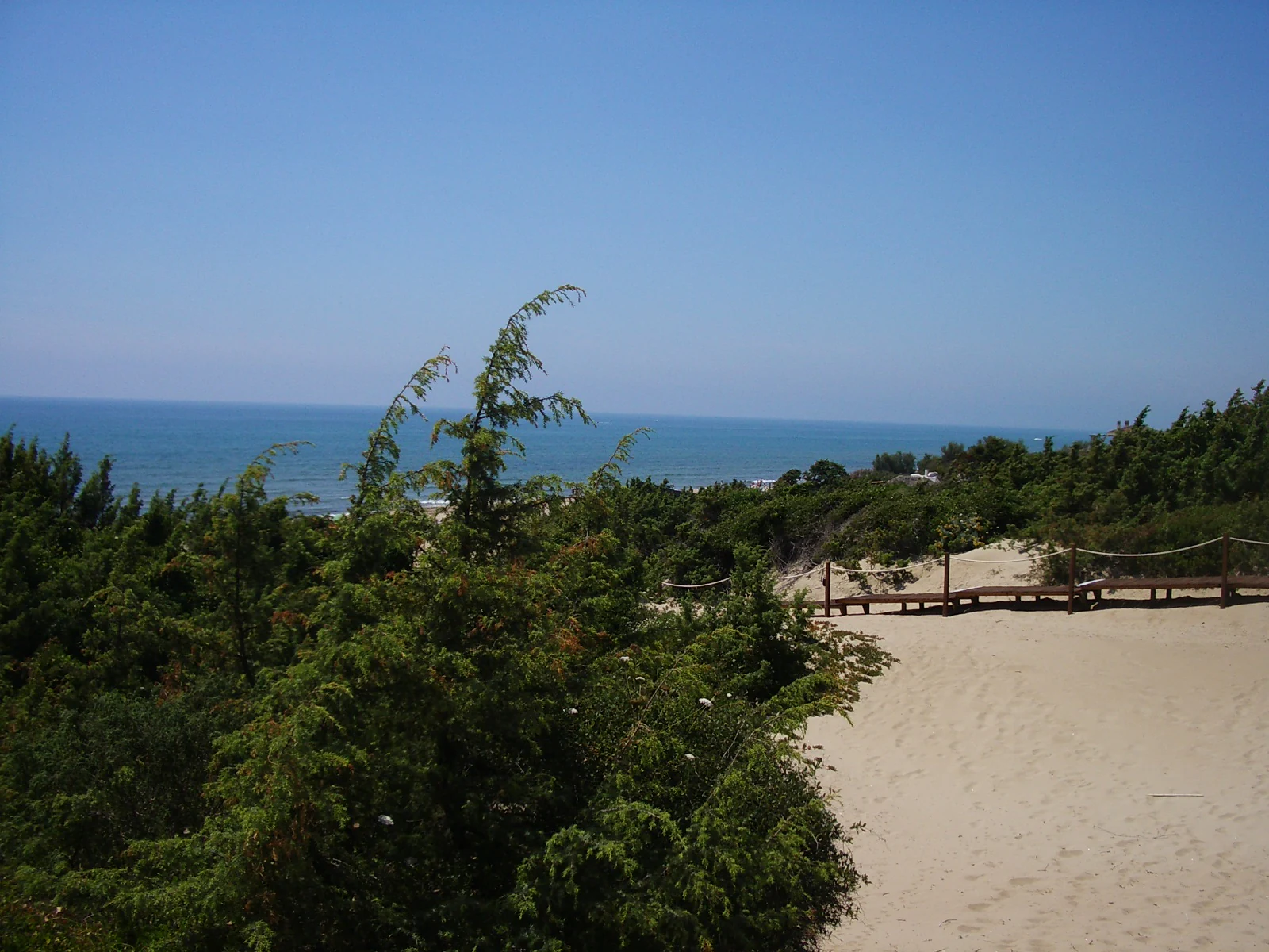 Sandy coastal dune with green vegetation, wooden boardwalk, and blue sea under clear sky
