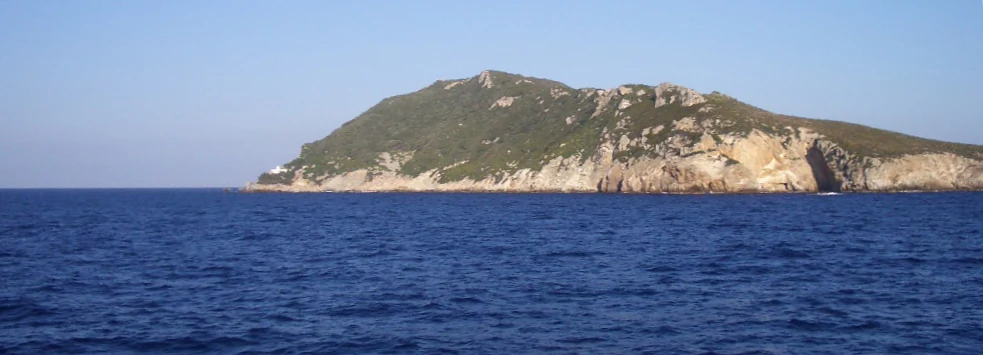 A coastal island with rocky cliffs and vegetation surrounded by the sea under a clear blue sky