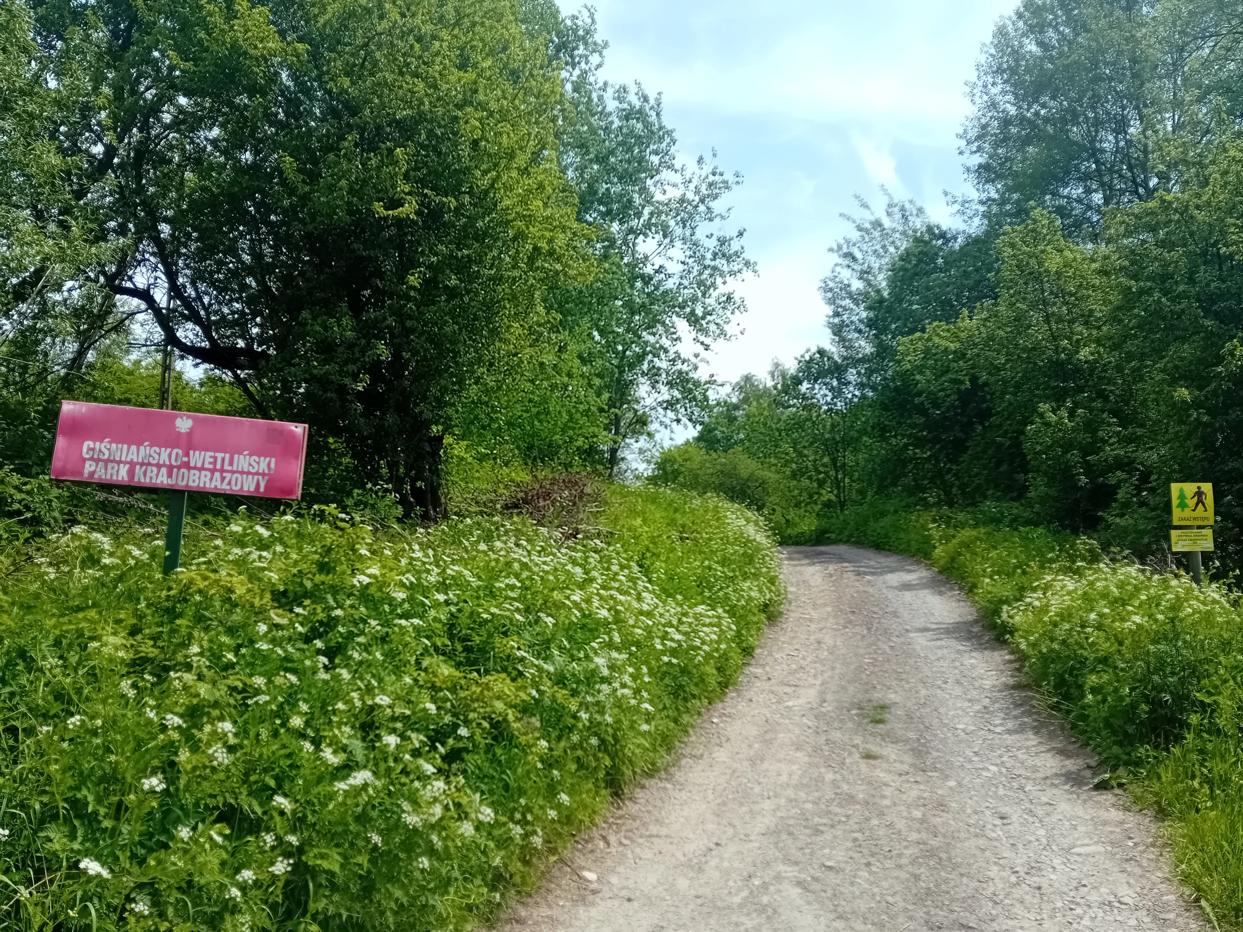 A dirt path leading into a green forest with a red park entrance sign on the left and a small yellow trail marker on the right.