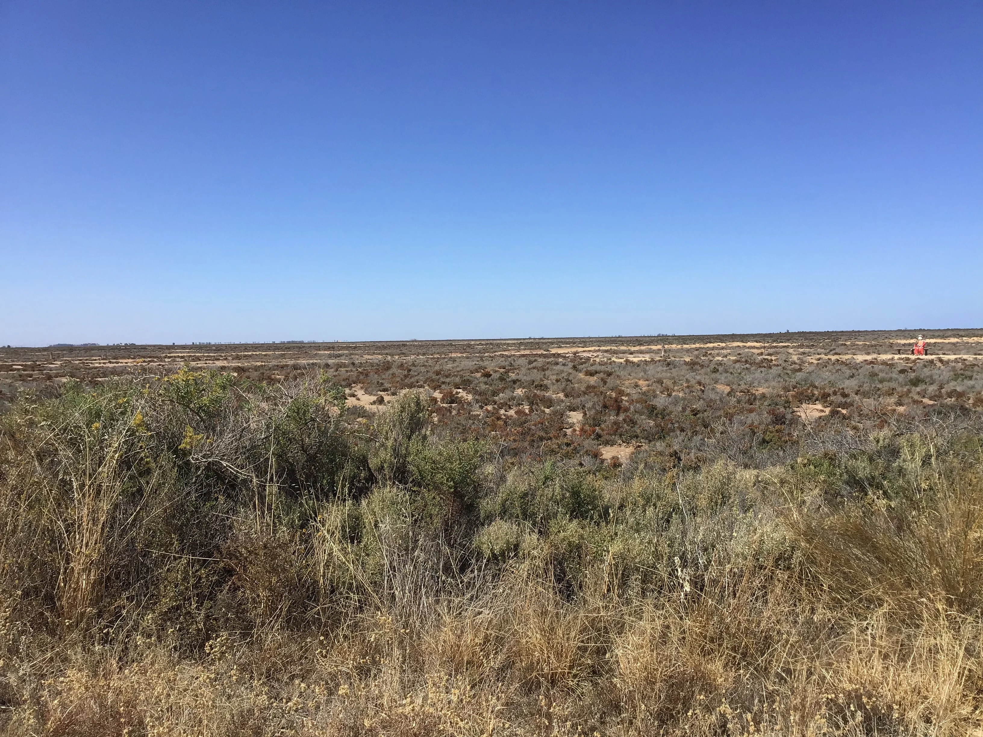A wide shot of flat, arid terrain covered in low green and brown scrub vegetation stretching to a distant horizon under a clear blue sky.
