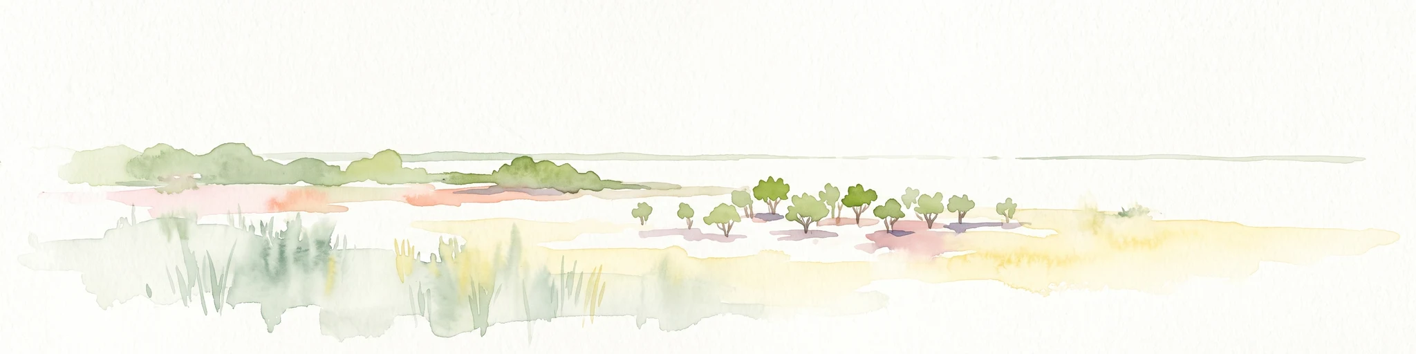 A wide watercolor illustration showing a coastal scene with green trees, a pinkish shoreline, and pale blue water against a white background.
