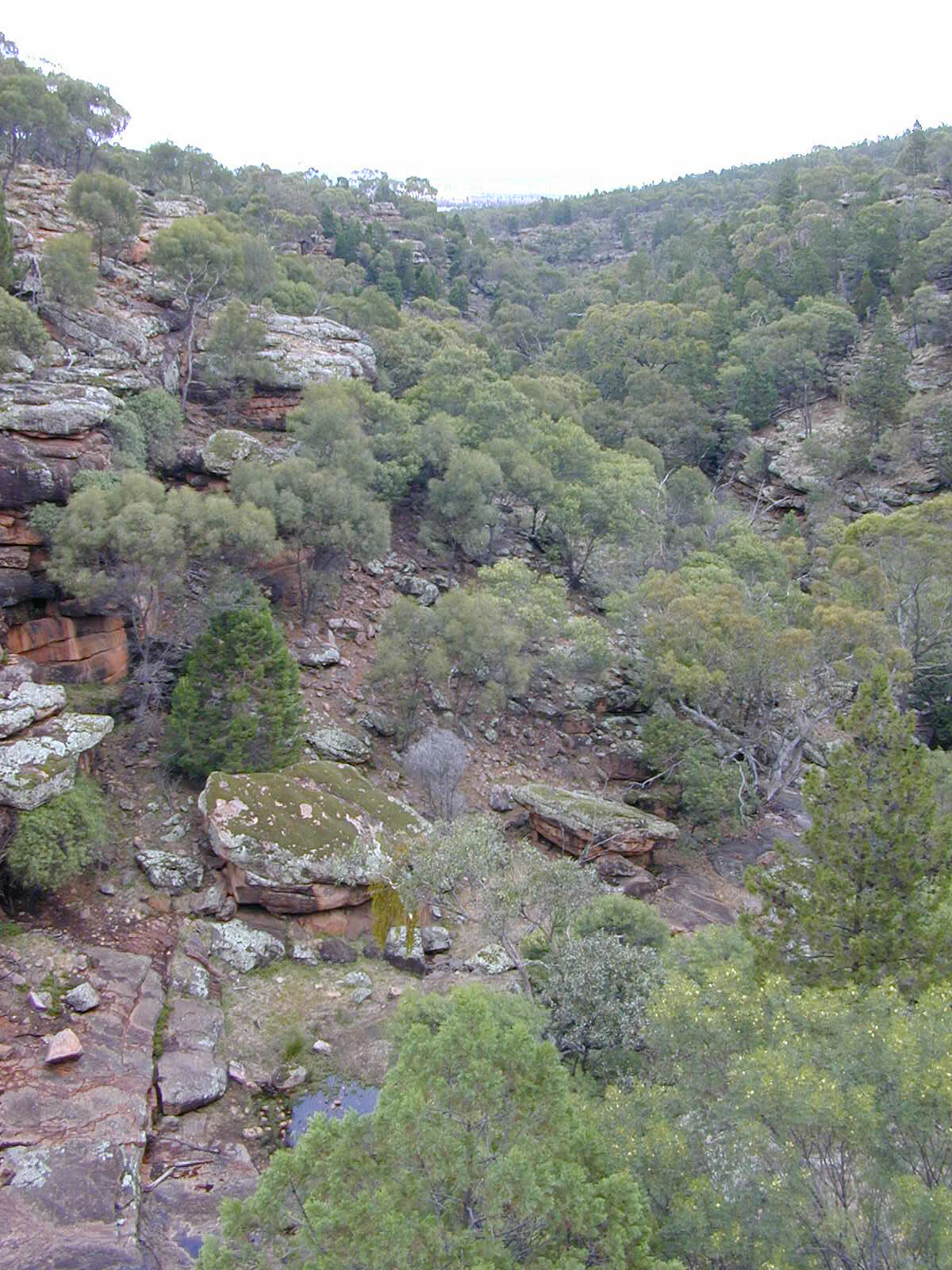 Paisaje de valle rocoso con árboles dispersos, formaciones de roca roja y un pequeño arroyo