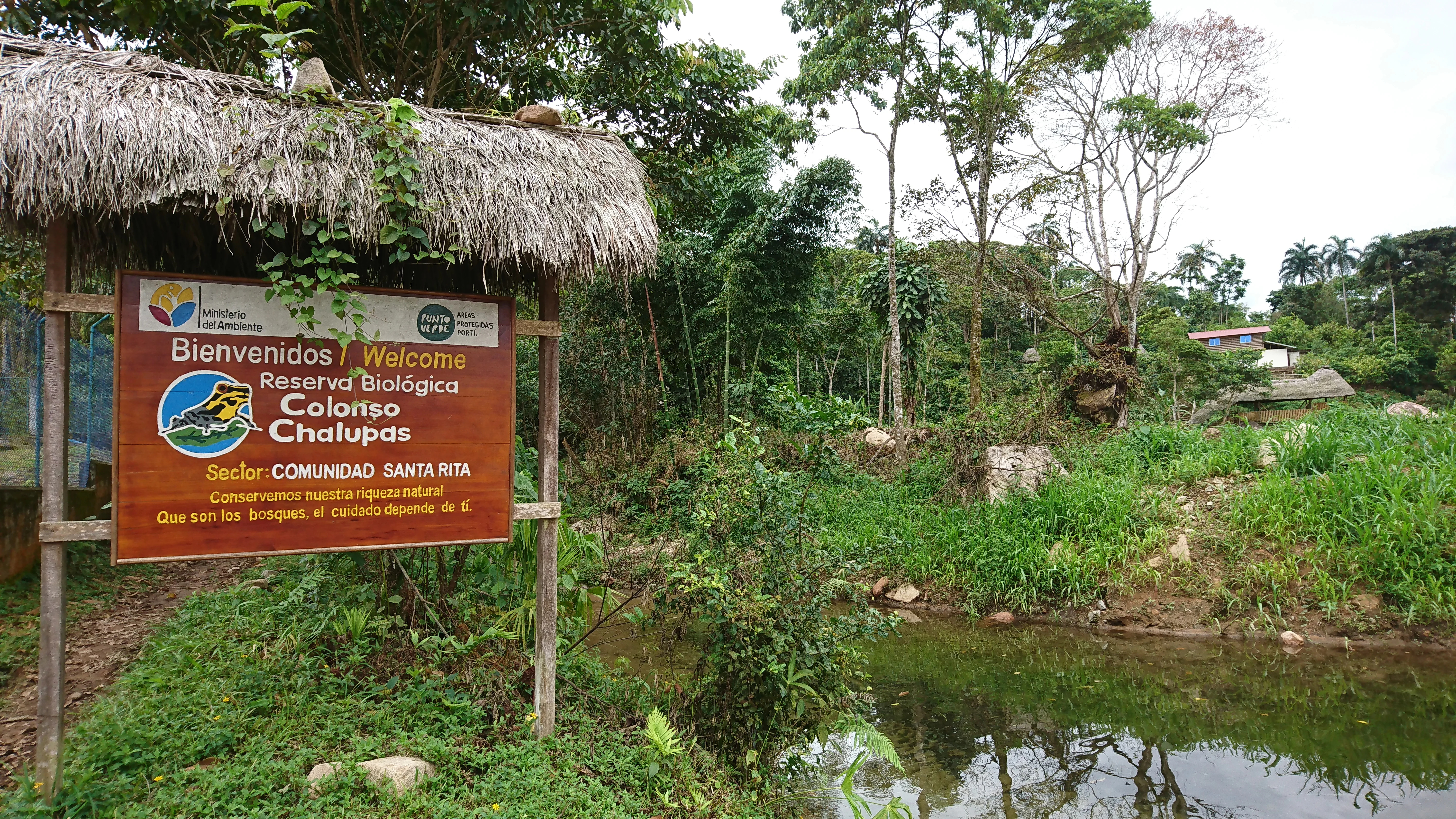 A wooden sign under a thatched roof structure welcomes visitors to the Reserva Biológica Colonso-Chalupas in the Santa Rita community, situated near trees and a small pond.