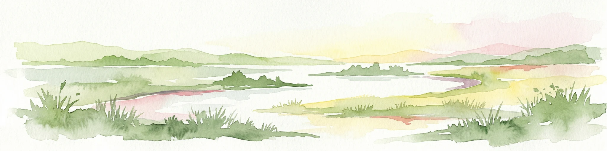 Pintura de acuarela de un paisaje de humedal con marismas, un río y colinas distantes bajo un cielo suave