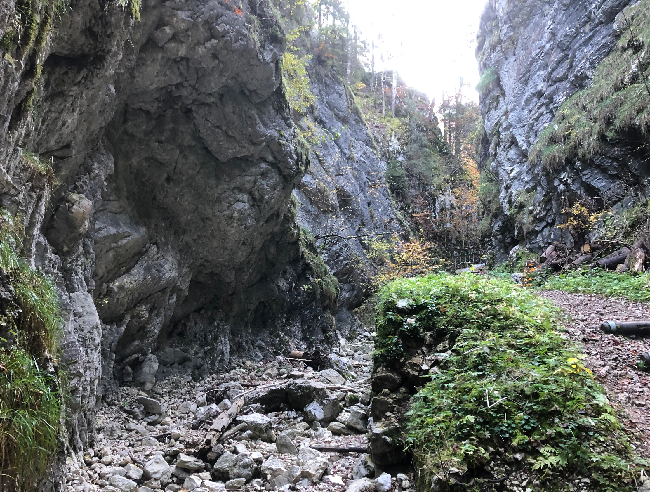 A hiking path runs through a deep, rocky limestone gorge in the Swiss Jura mountains, with steep walls and green vegetation.