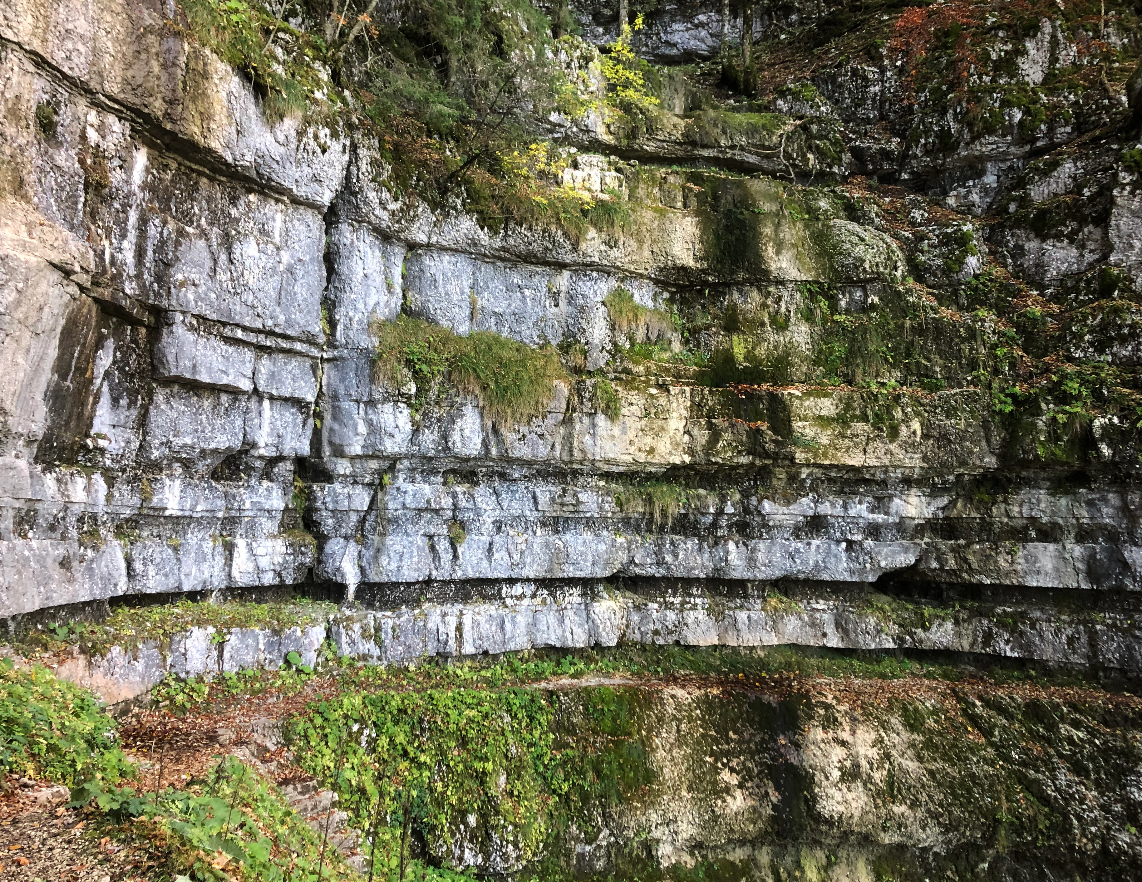 A close-up view of horizontally stratified limestone rock walls in a gorge, with moss and green vegetation growing in the crevices.