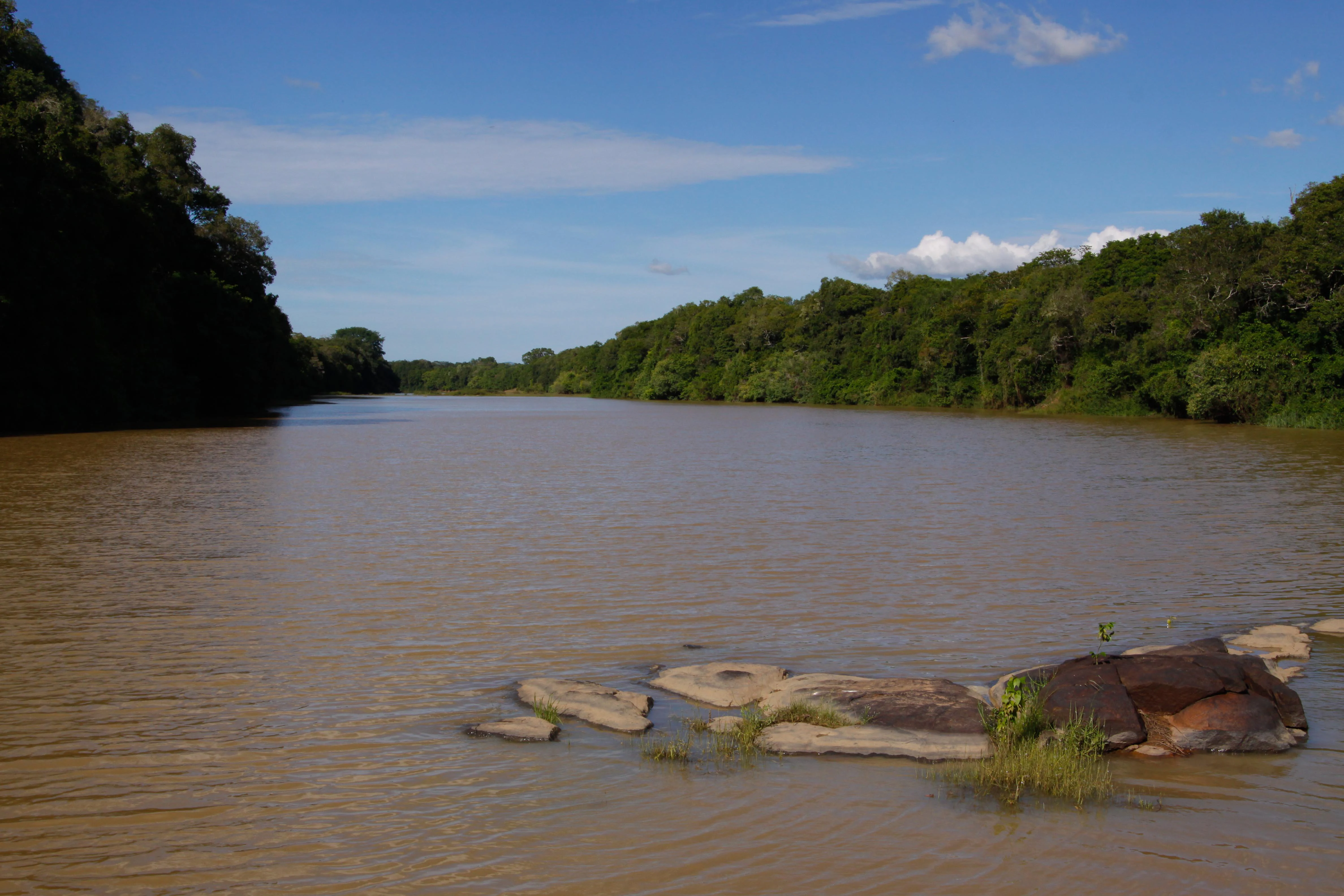 Un río ancho de aguas parduzcas rodeado de densos bosques verdes bajo un cielo azul con nubes dispersas