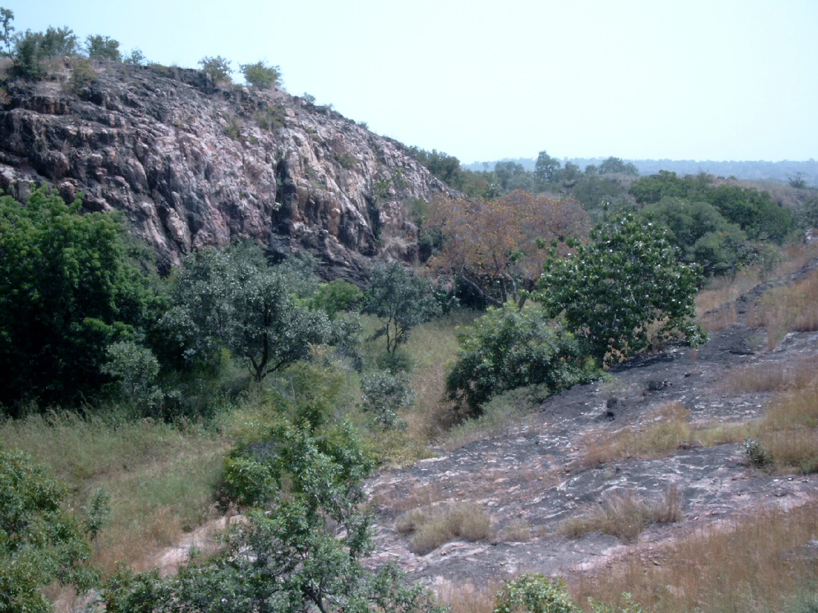 A rocky, craggy hillside rises above a wooded savanna landscape with scattered trees and shrubs under a hazy sky.