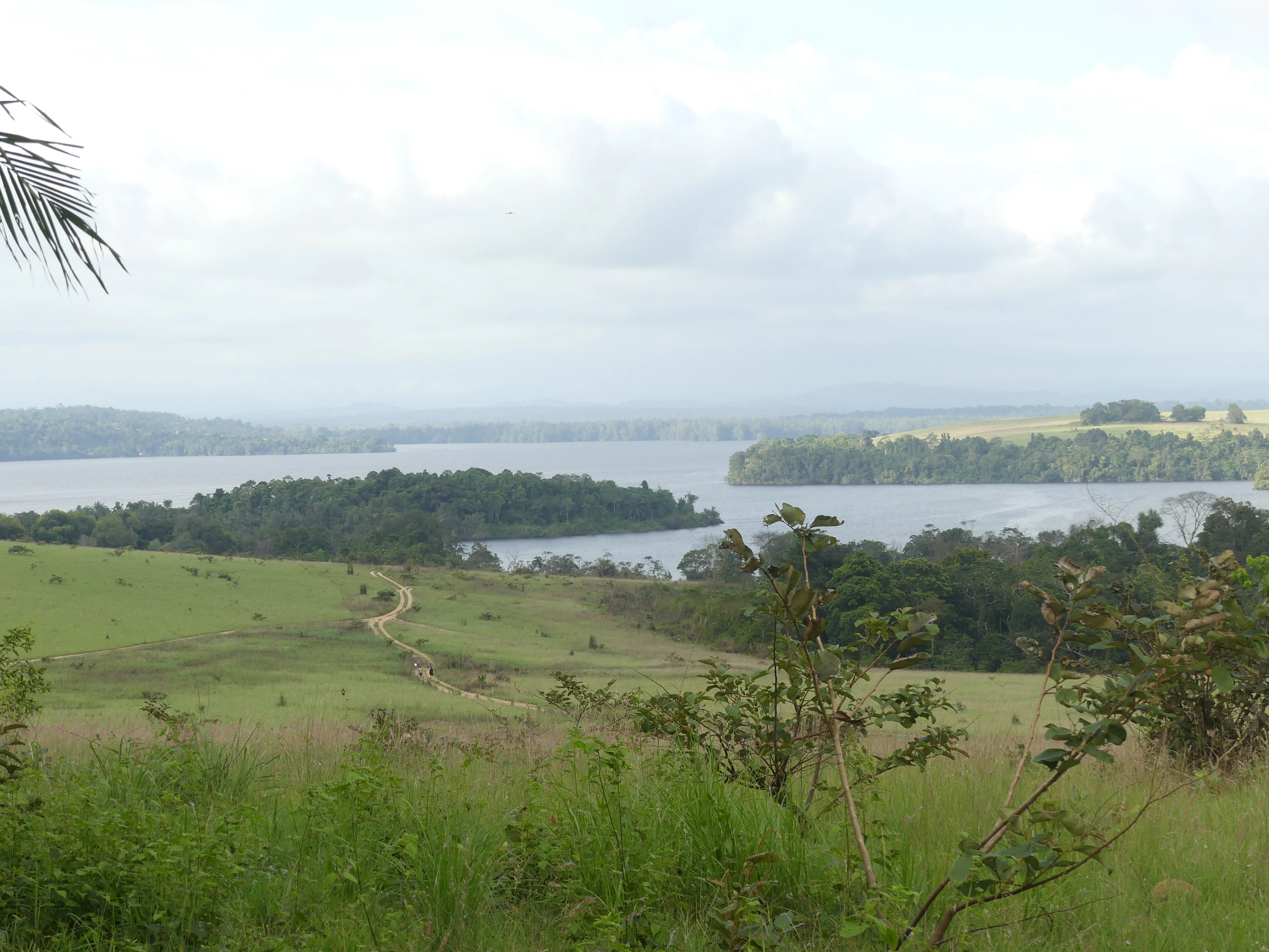 Wide view of a lush green landscape with a winding path, water body, and forested shoreline under an overcast sky