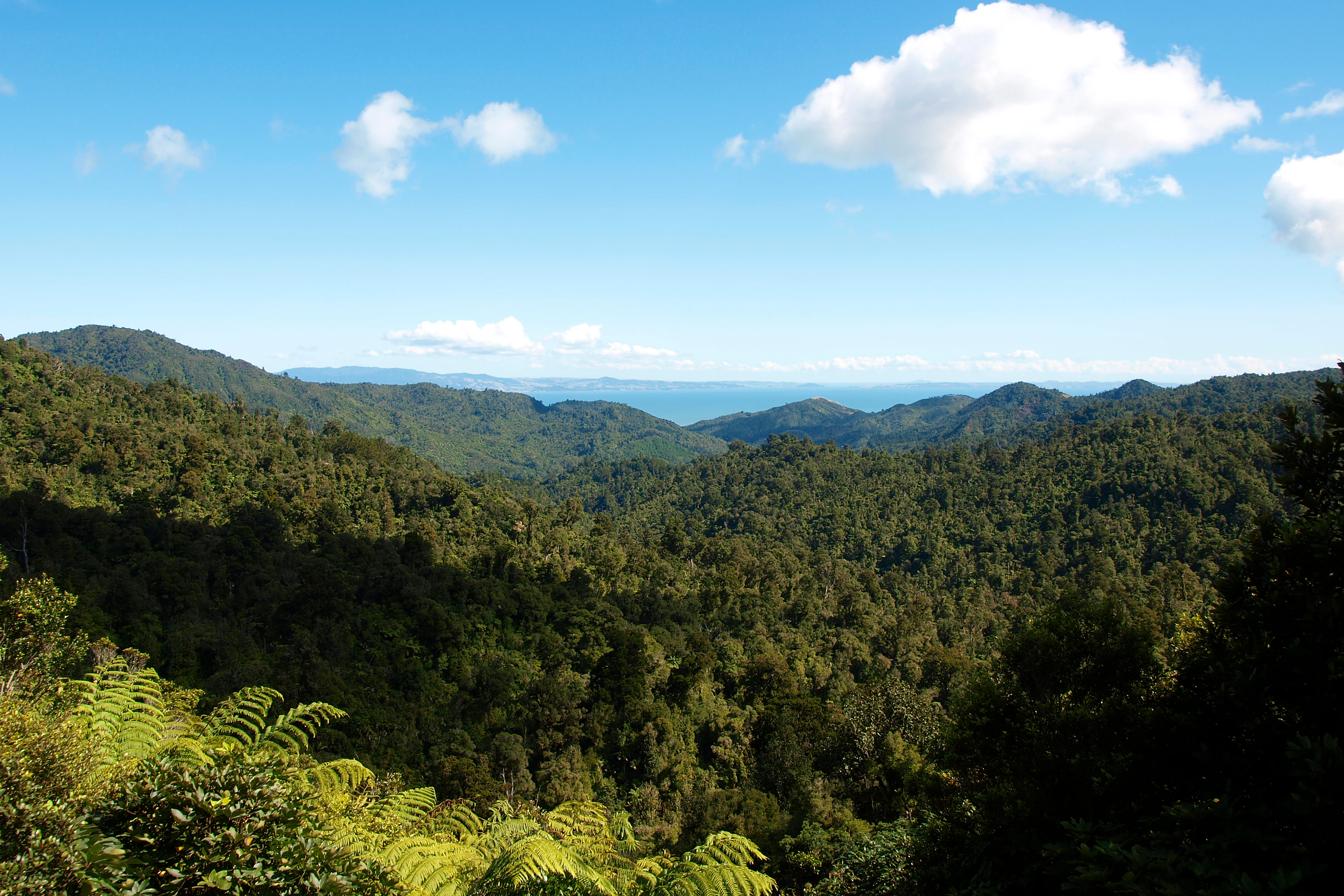 A landscape photograph showing lush, hilly green forest stretching toward a distant blue coastline and a bright blue sky with scattered clouds.