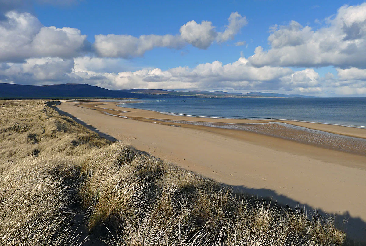 A wide coastal landscape view showing grass-covered sand dunes in the foreground leading to a long, sweeping sandy beach and calm blue water under a cloudy sky.