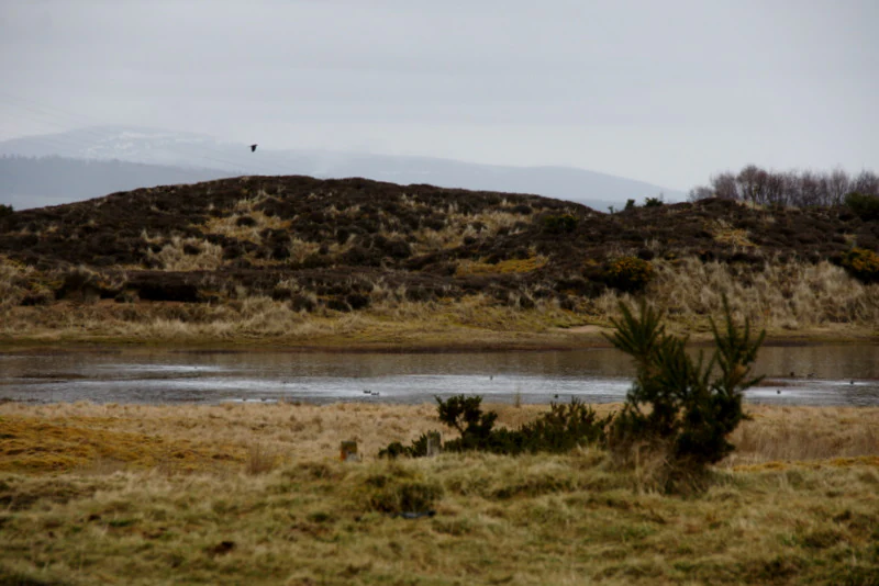 A small, calm lochan surrounded by low-lying, brownish grassy dunes and heathland under an overcast sky.