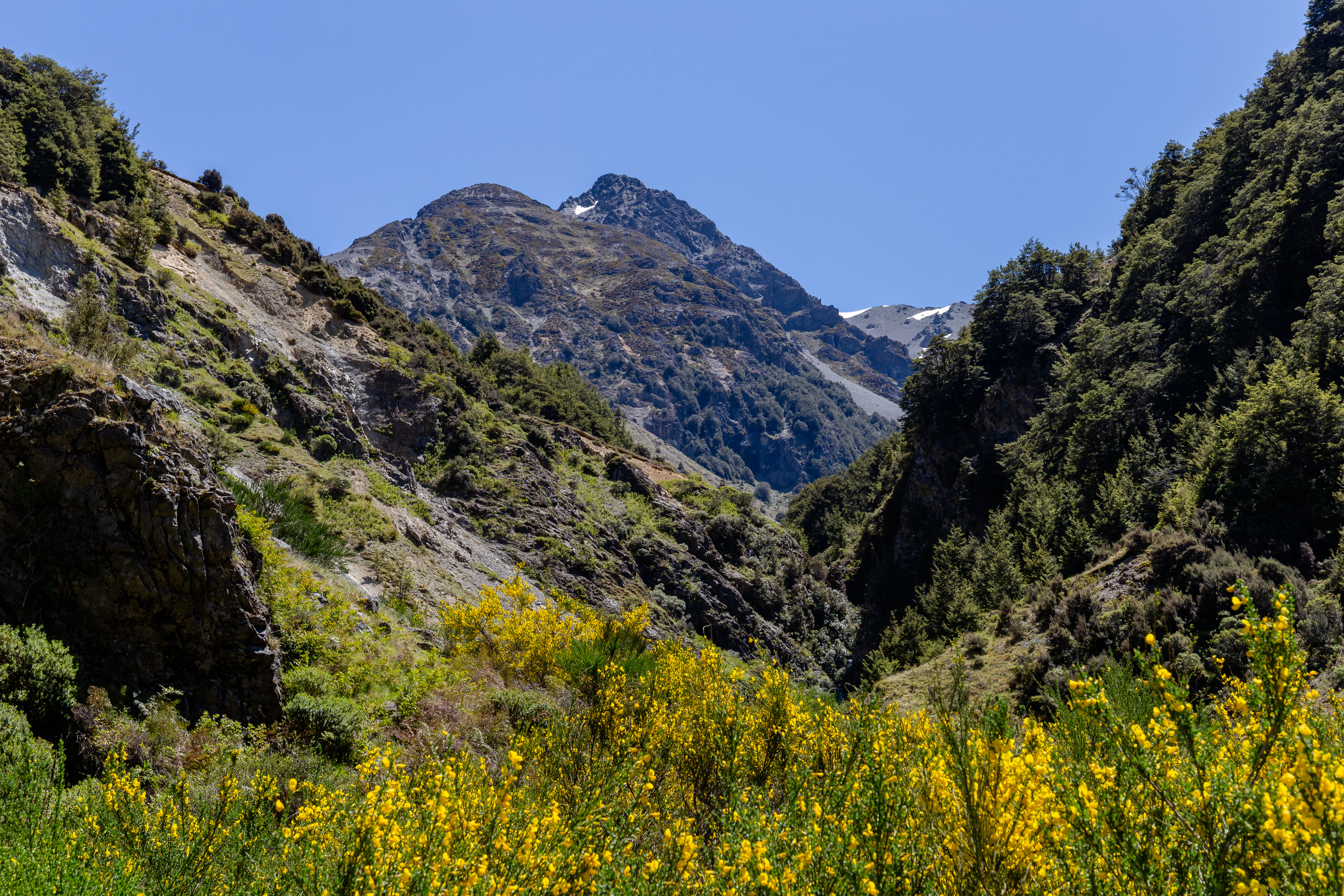 A mountainous landscape with a prominent dark peak in the distance, framed by steep, vegetated valley slopes and bright yellow flowering bushes in the foreground under a clear blue sky.