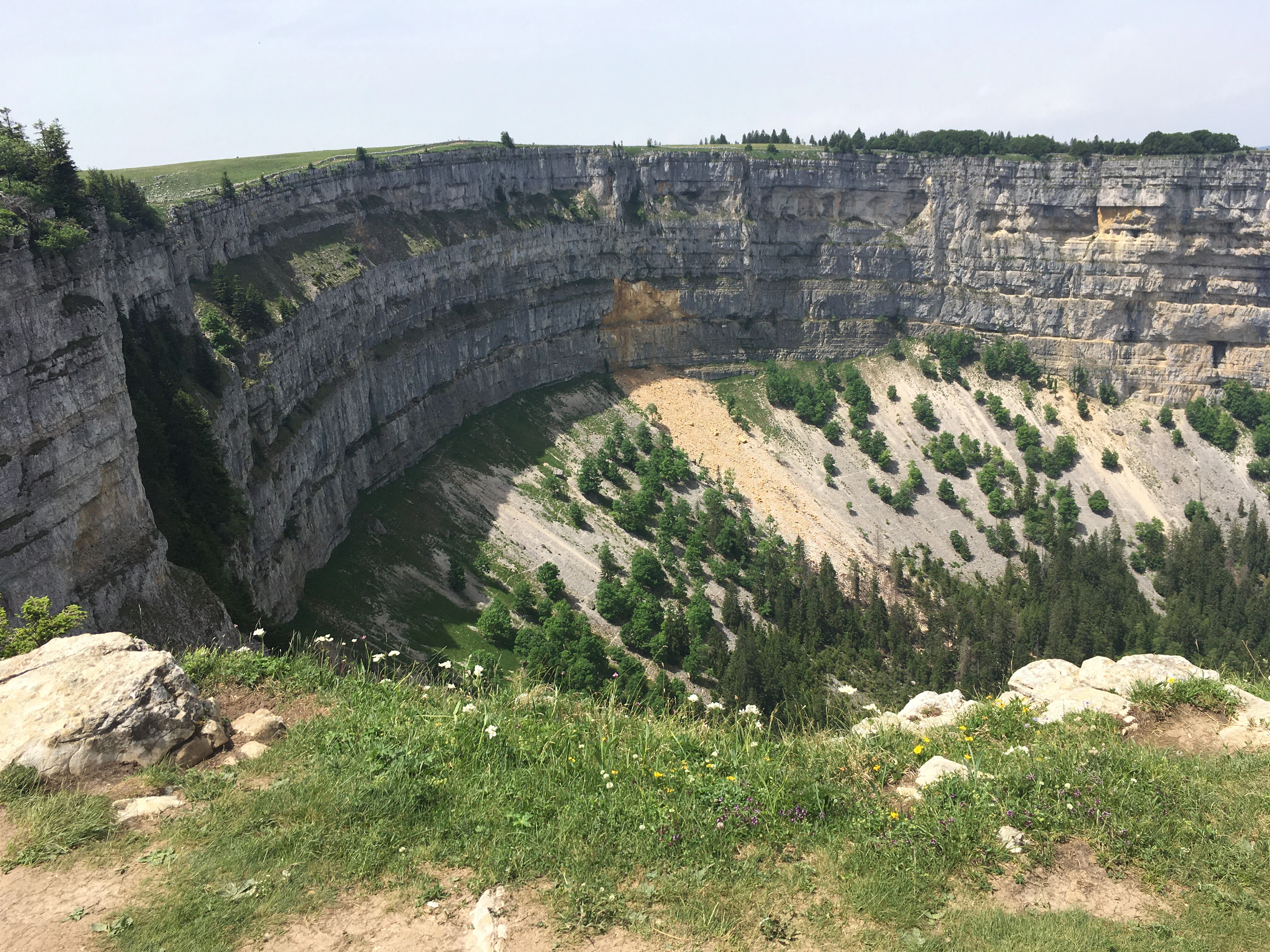 Una vista amplia del anfiteatro de piedra caliza conocido como Creux du Van, con acantilados verticales de gran tamaño y una empinada ladera boscosa de talud que desciende hacia un valle.