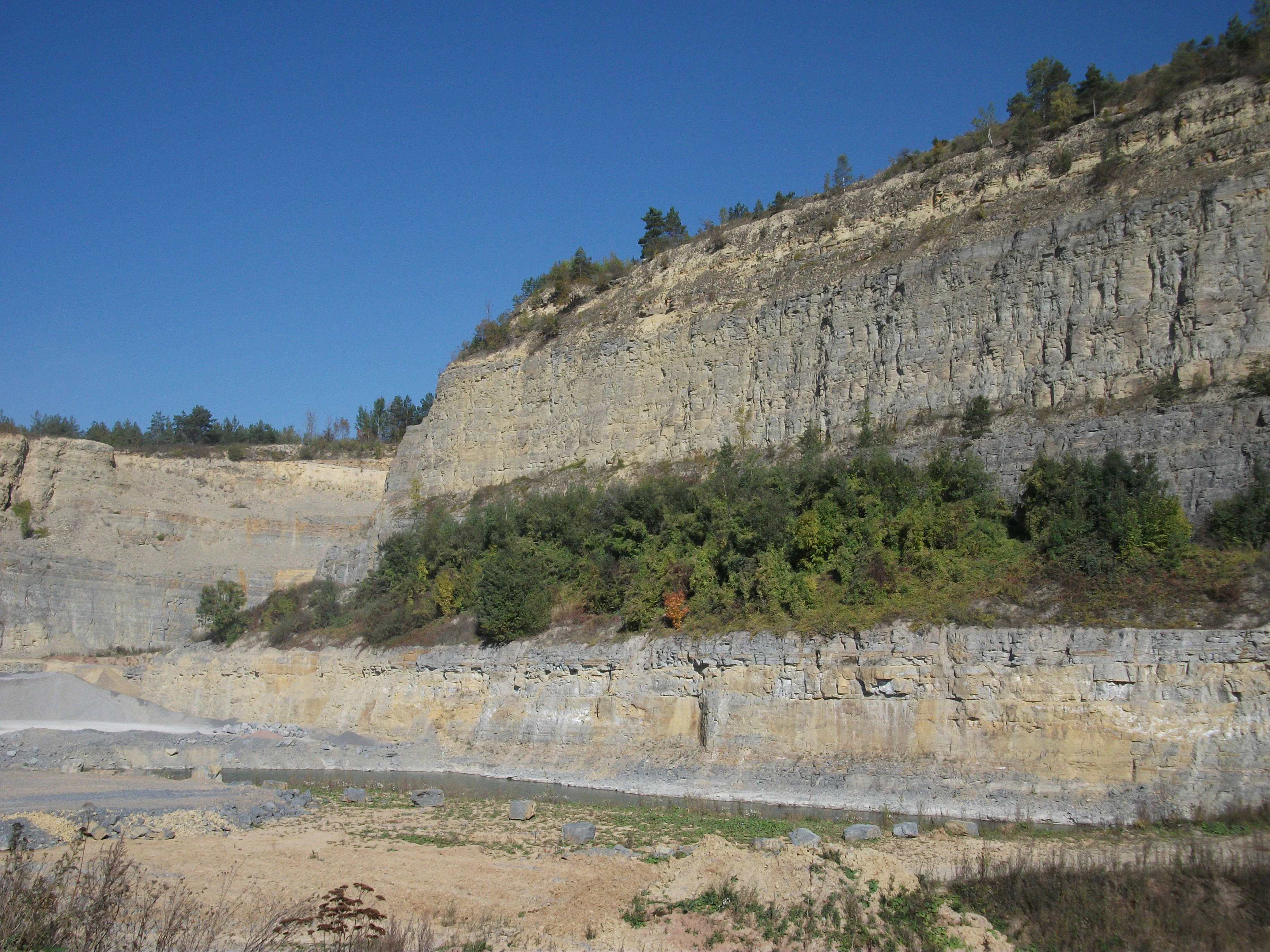 A wide view of a limestone quarry with high, stratified rock walls and areas of sparse vegetation and trees against a clear blue sky.