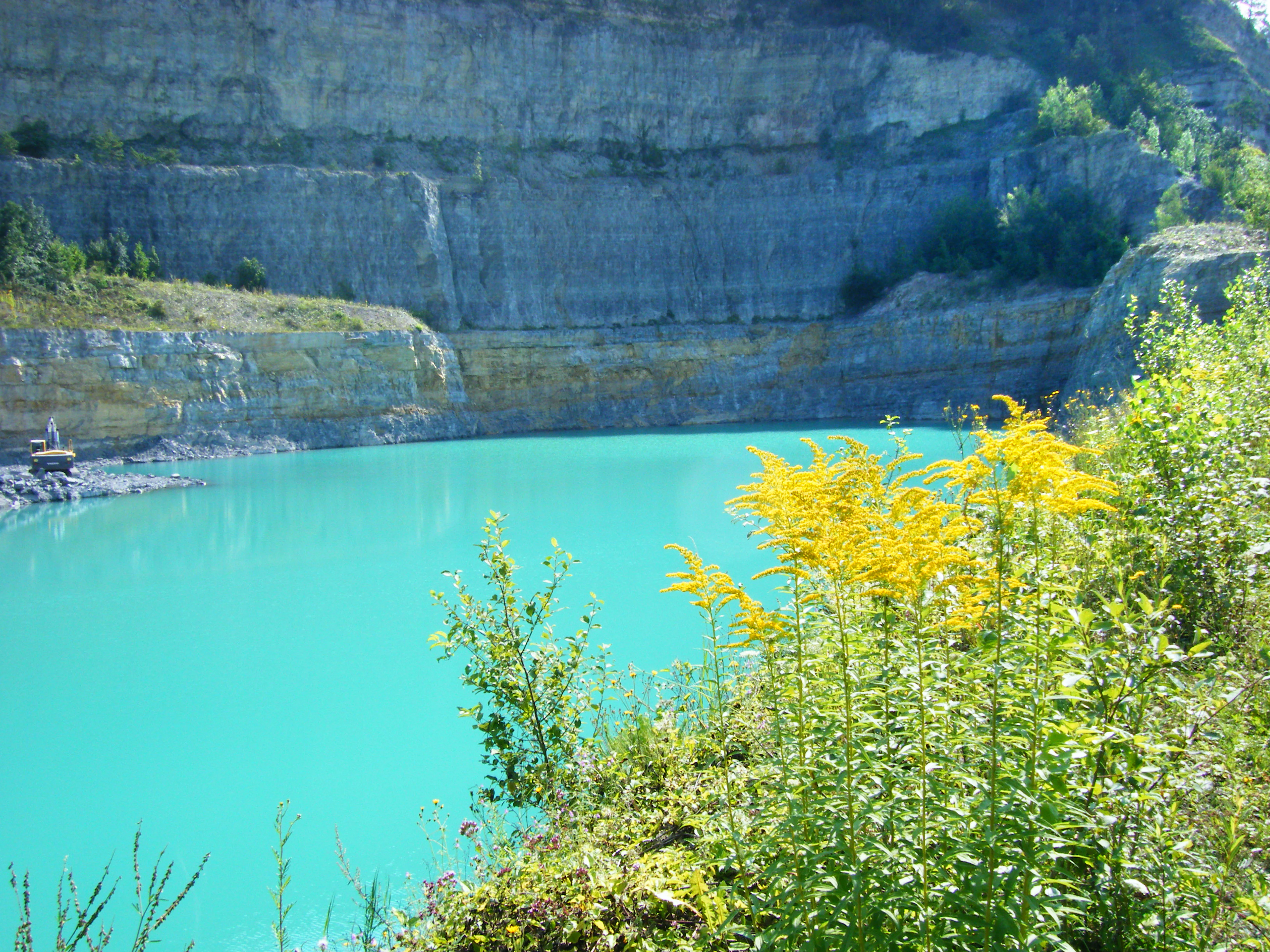 A view of a turquoise, water-filled quarry surrounded by high limestone cliff walls, with yellow flowering plants in the foreground.