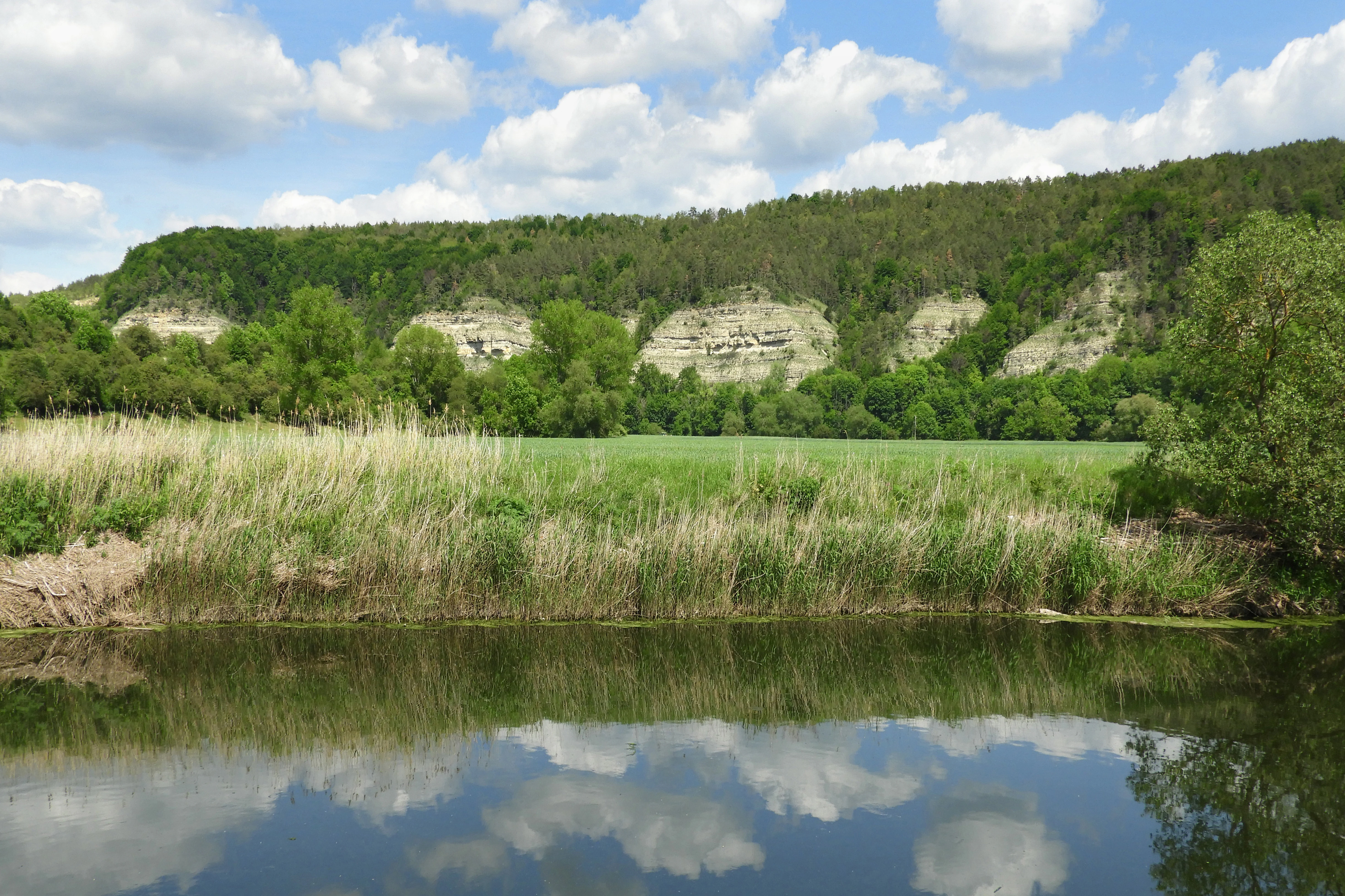 A calm river reflects a blue sky with fluffy white clouds, with a grassy riverbank and steep, tree-covered limestone cliffs in the background.