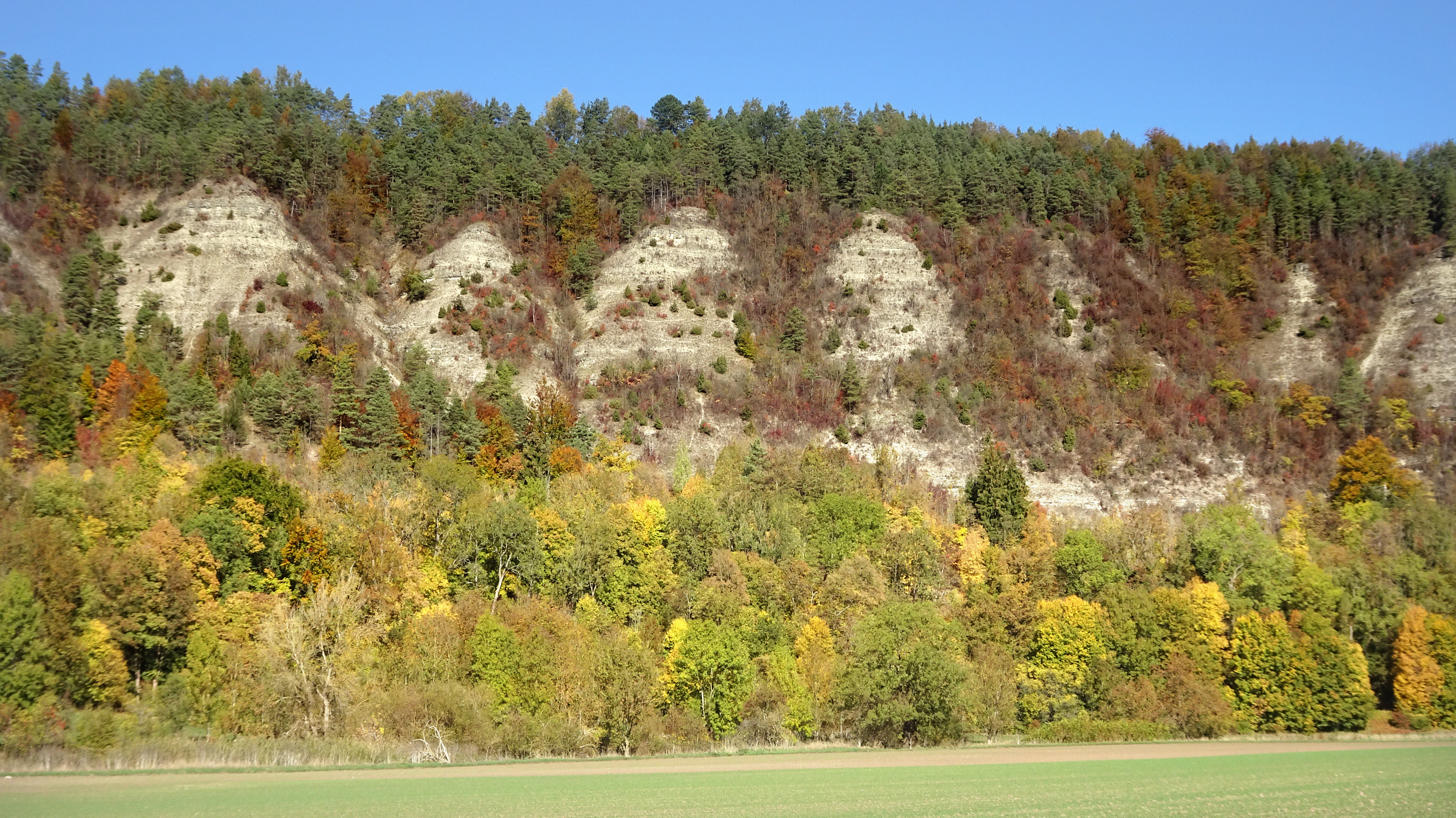A horizontal landscape view of a steep limestone cliff face partially covered by mixed coniferous and deciduous forests displaying autumn colors under a clear blue sky, above a field in the foreground.