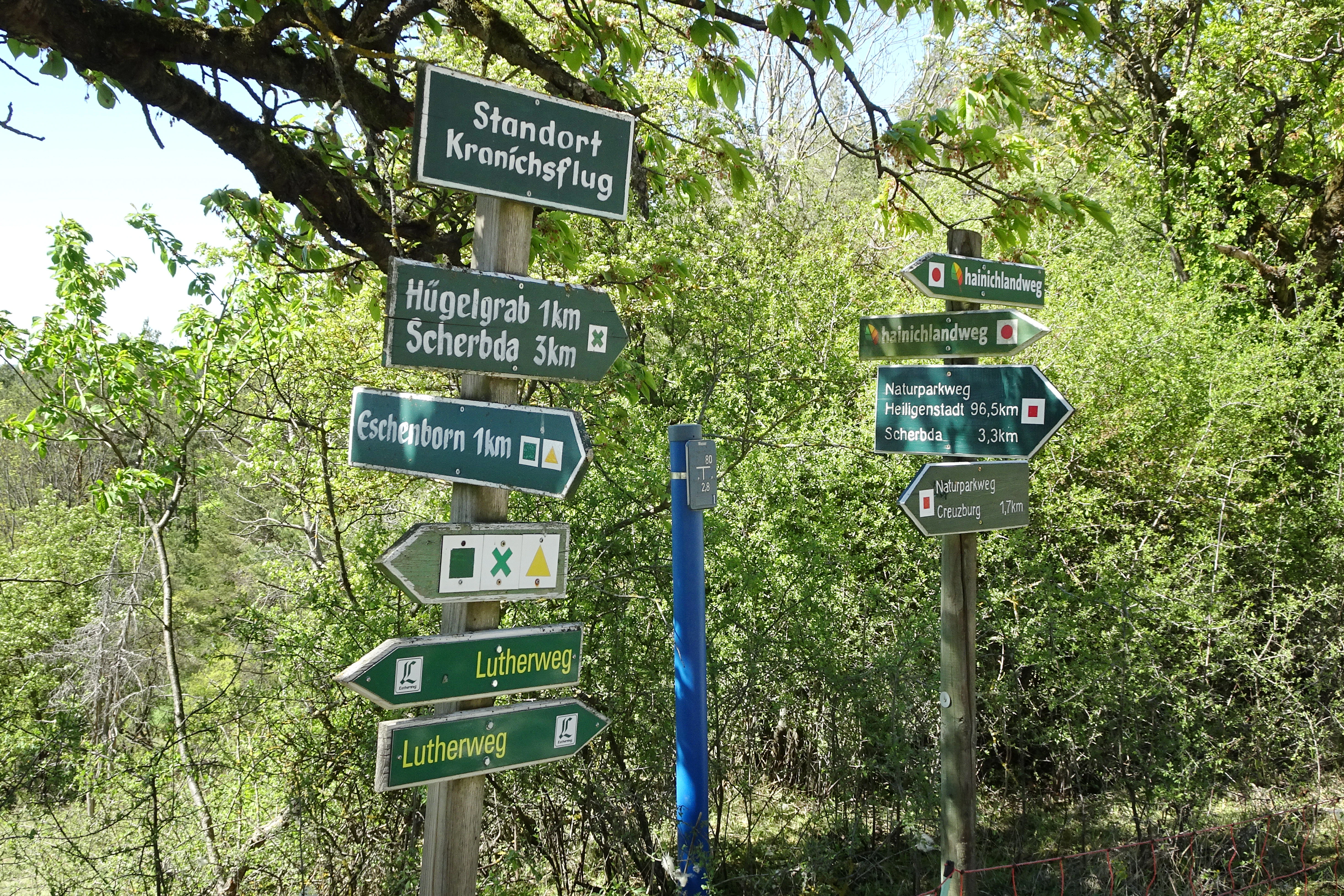 Two wooden posts with multiple green and white hiking directional signs situated in a wooded area.