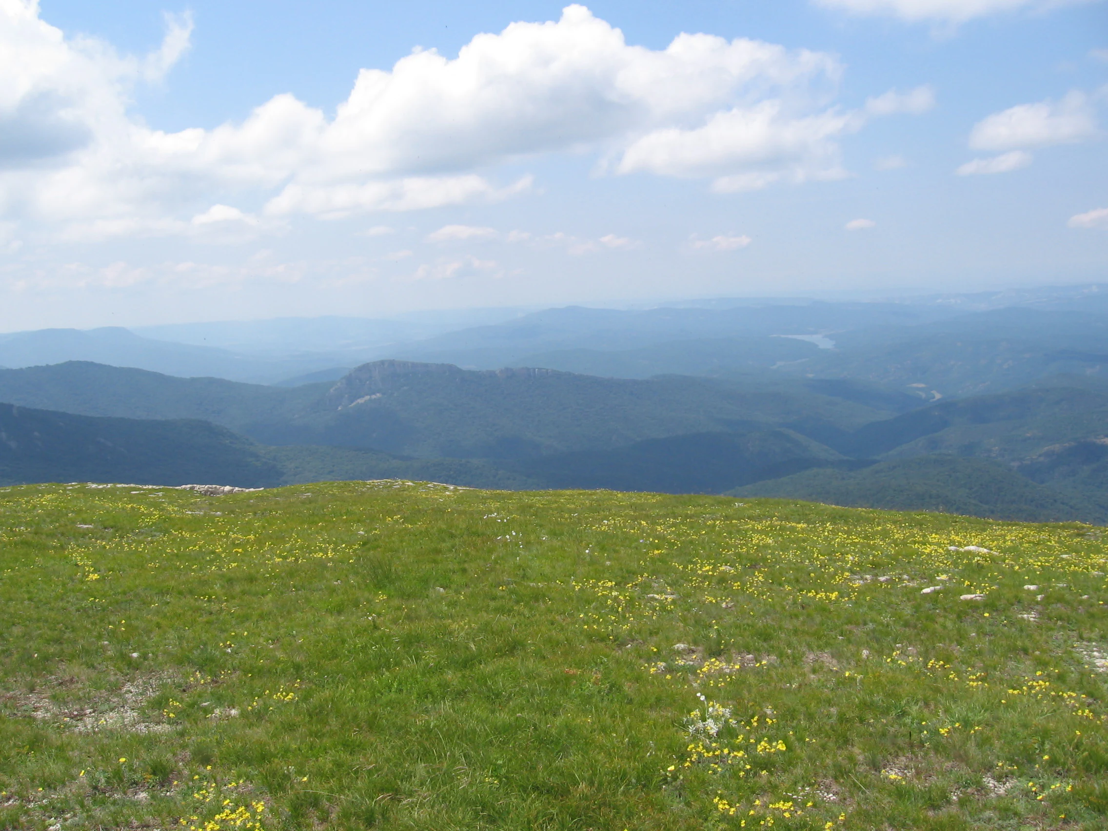 Grassy hillside with scattered yellow flowers and distant mountain ranges under a partly cloudy sky