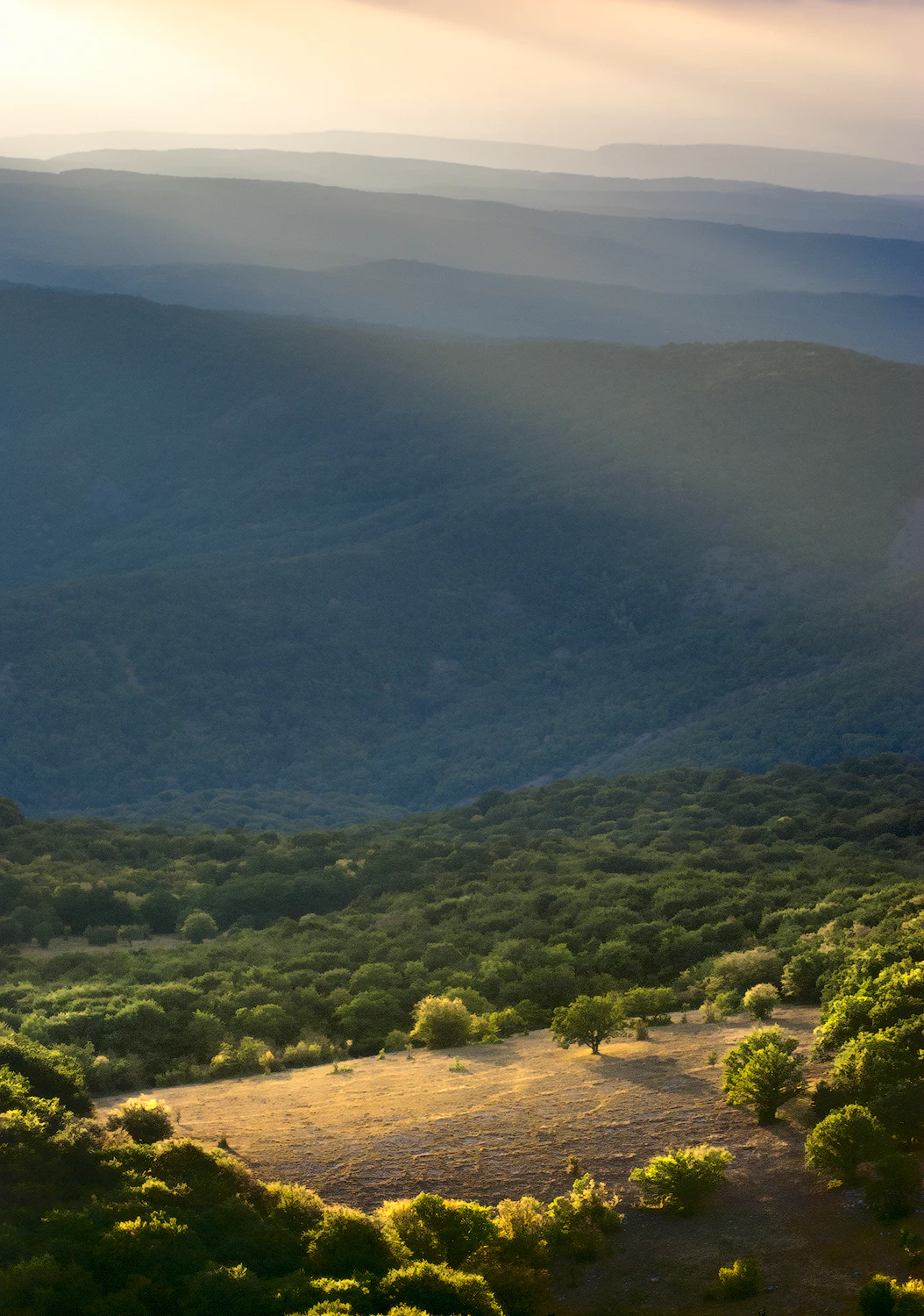 Sunlit valley surrounded by forested mountains with rays of sunlight streaming across the landscape