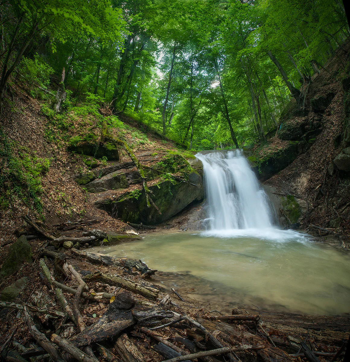 A mountain waterfall flowing through a forested area with lush green trees and fallen logs at the base.